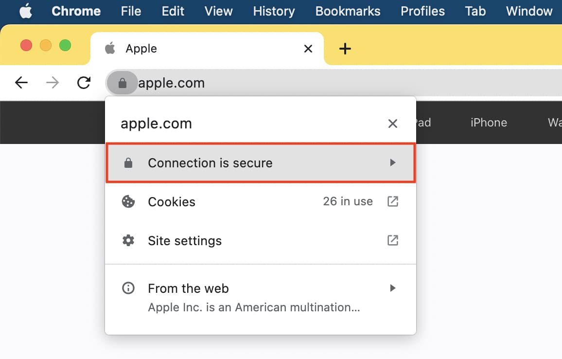 Connection is secure in Chrome
