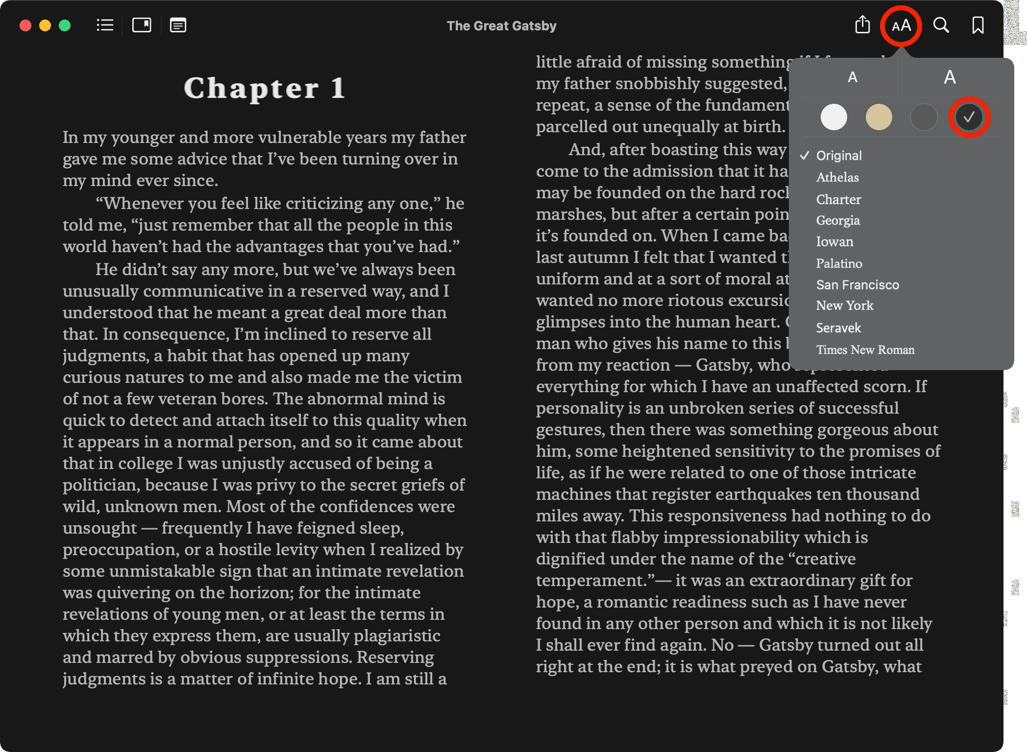Black Bullet, Vol. 4 (Light Novel) on Apple Books