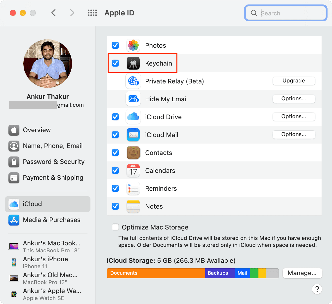 Keychain in iCloud settings on Mac