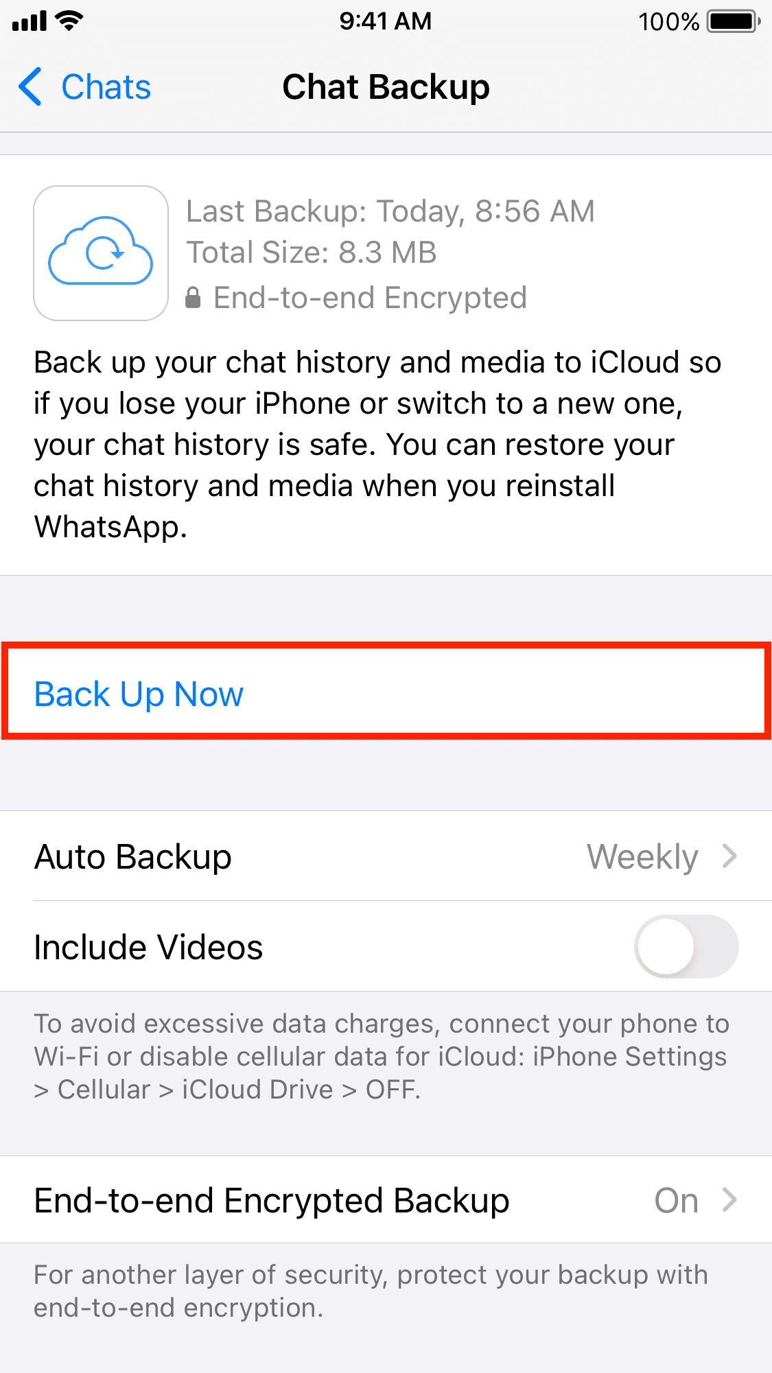 Backing up WhatsApp chats on iPhone