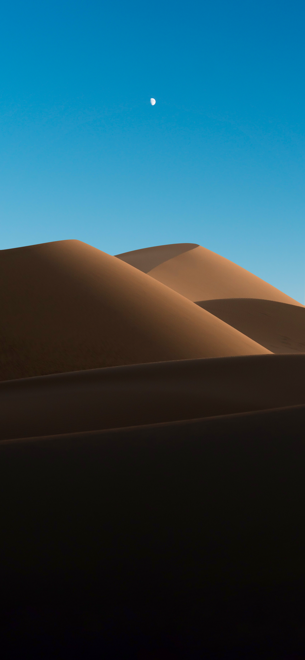 100+] Dune Wallpapers | Wallpapers.com