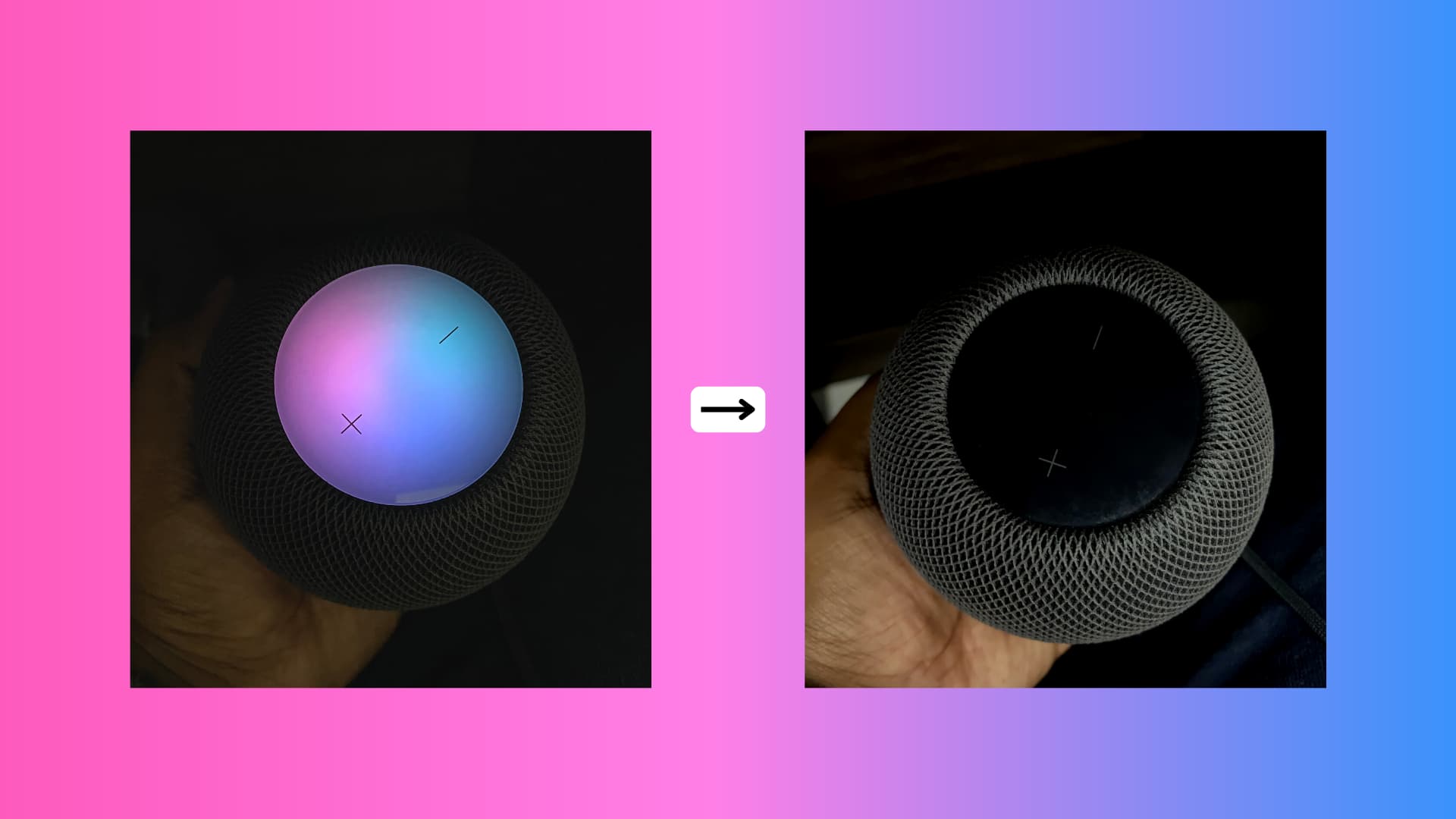 Two HomePod images placed side by side, with one photo showing the glowing Siri lights on top and the other photo showing the black top with no lights