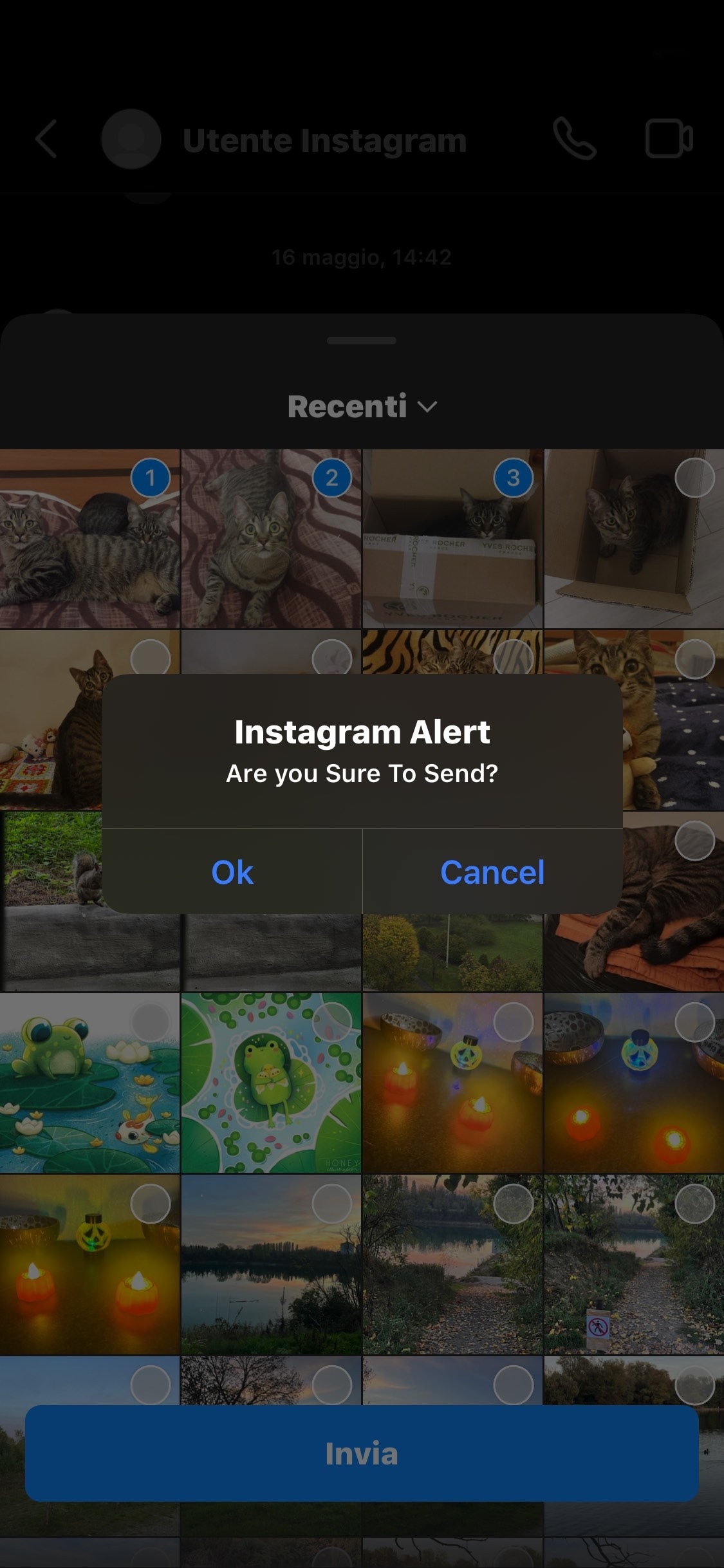 IGTidyMediaSend makes you confirm before uploading media to Instagram.