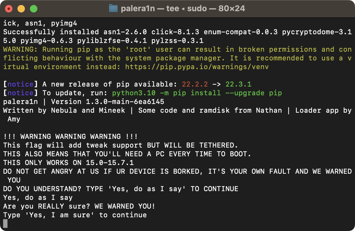 palera1n installation process, entering Yes, I am sure to continue into Terminal.