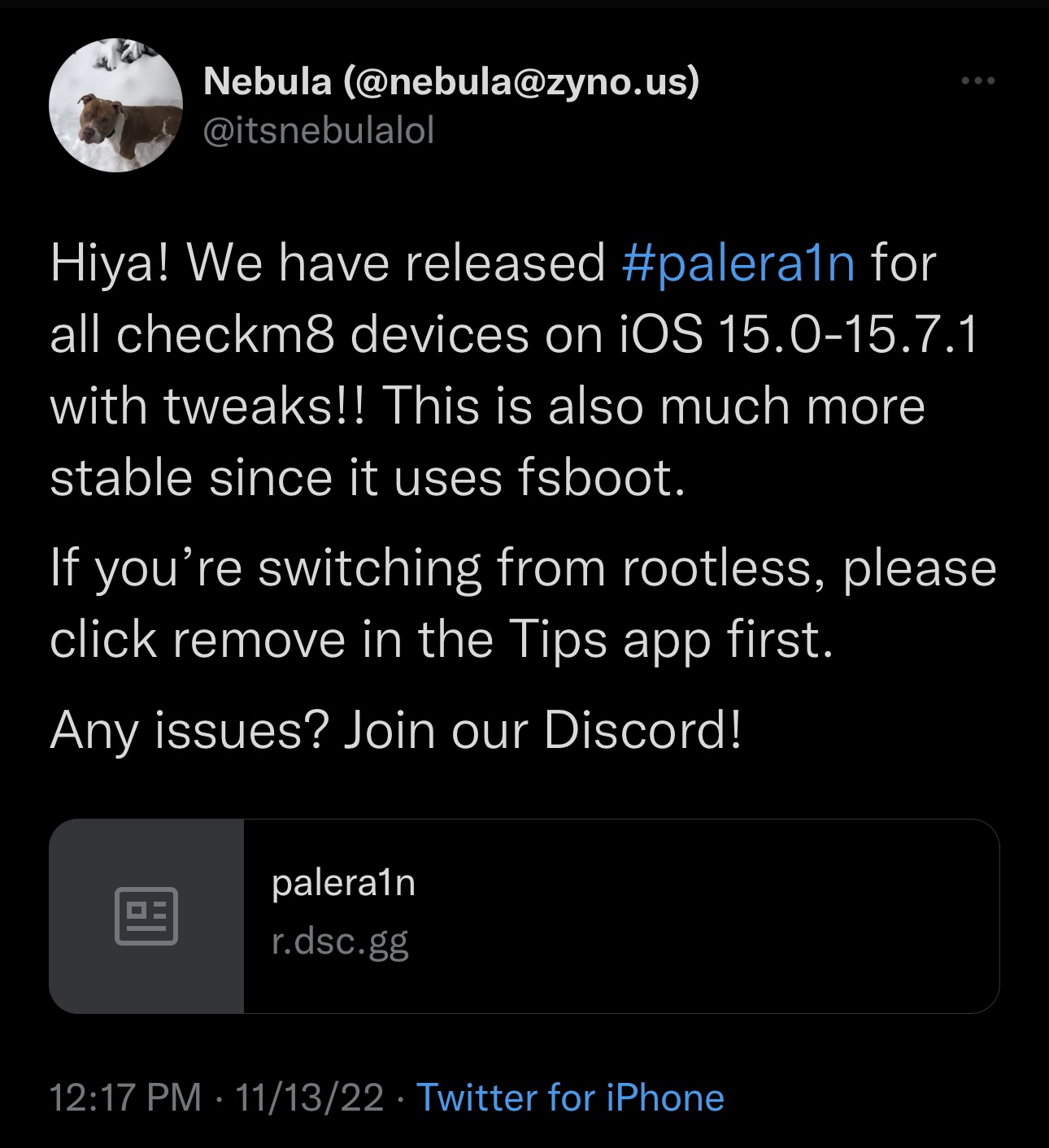 Palera1n for iOS 15.7-15.7.1 has picked up tweak injection support 