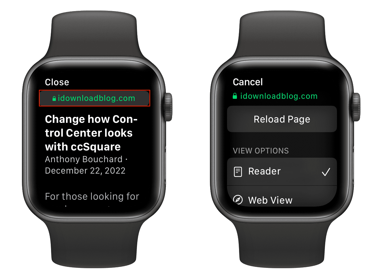 Controls while browsing on Apple Watch