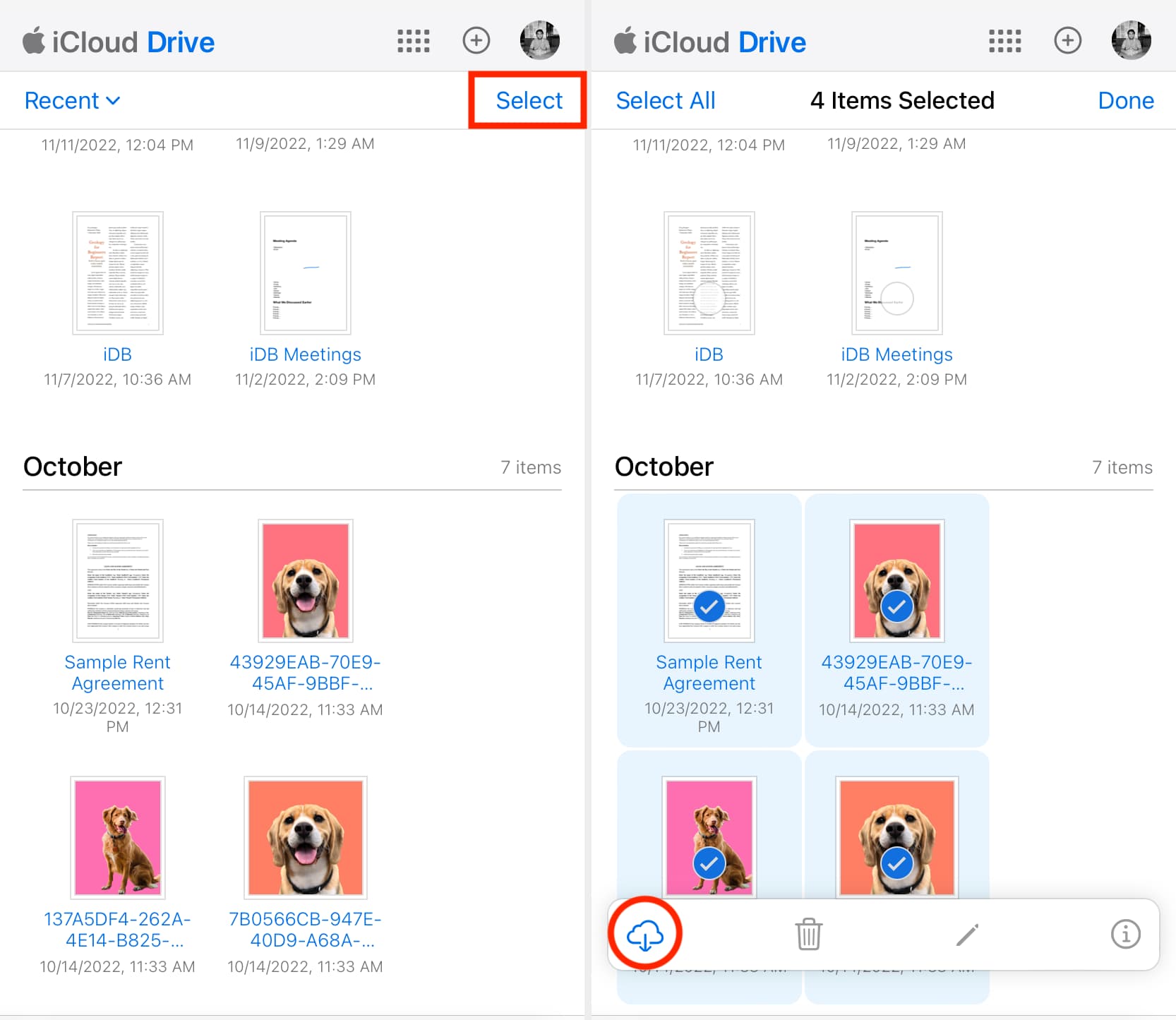 Download iCloud Drive files on Android