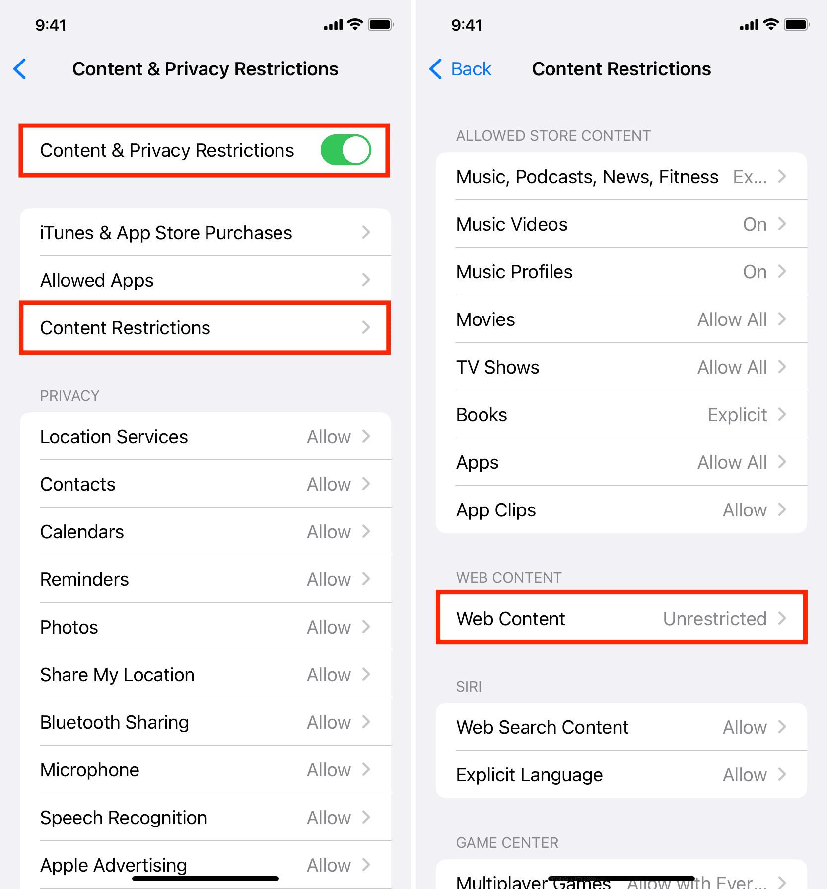 Web Content in iPhone Content Restrictions settings
