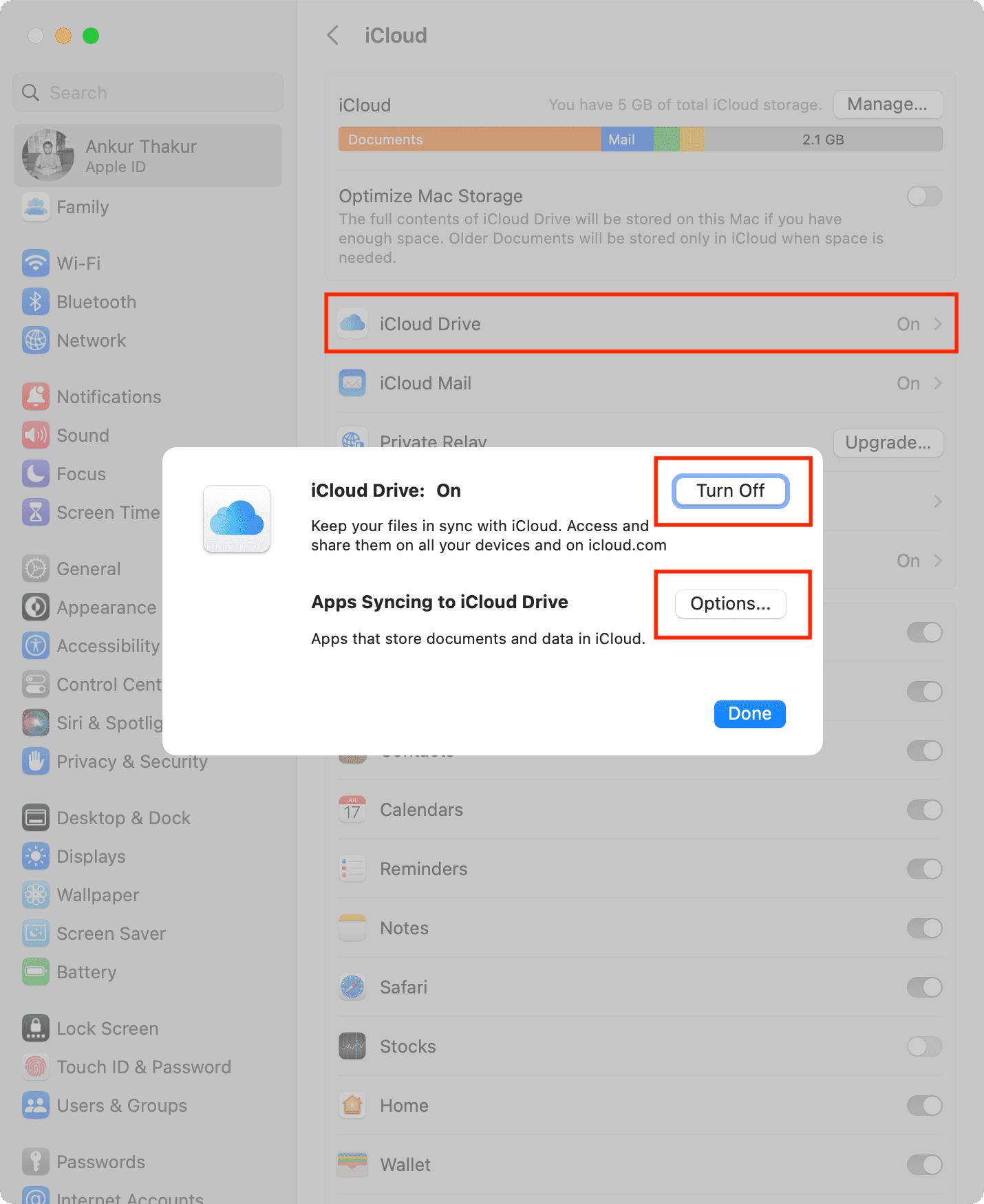 iCloud Drive turned on and its Options on Mac