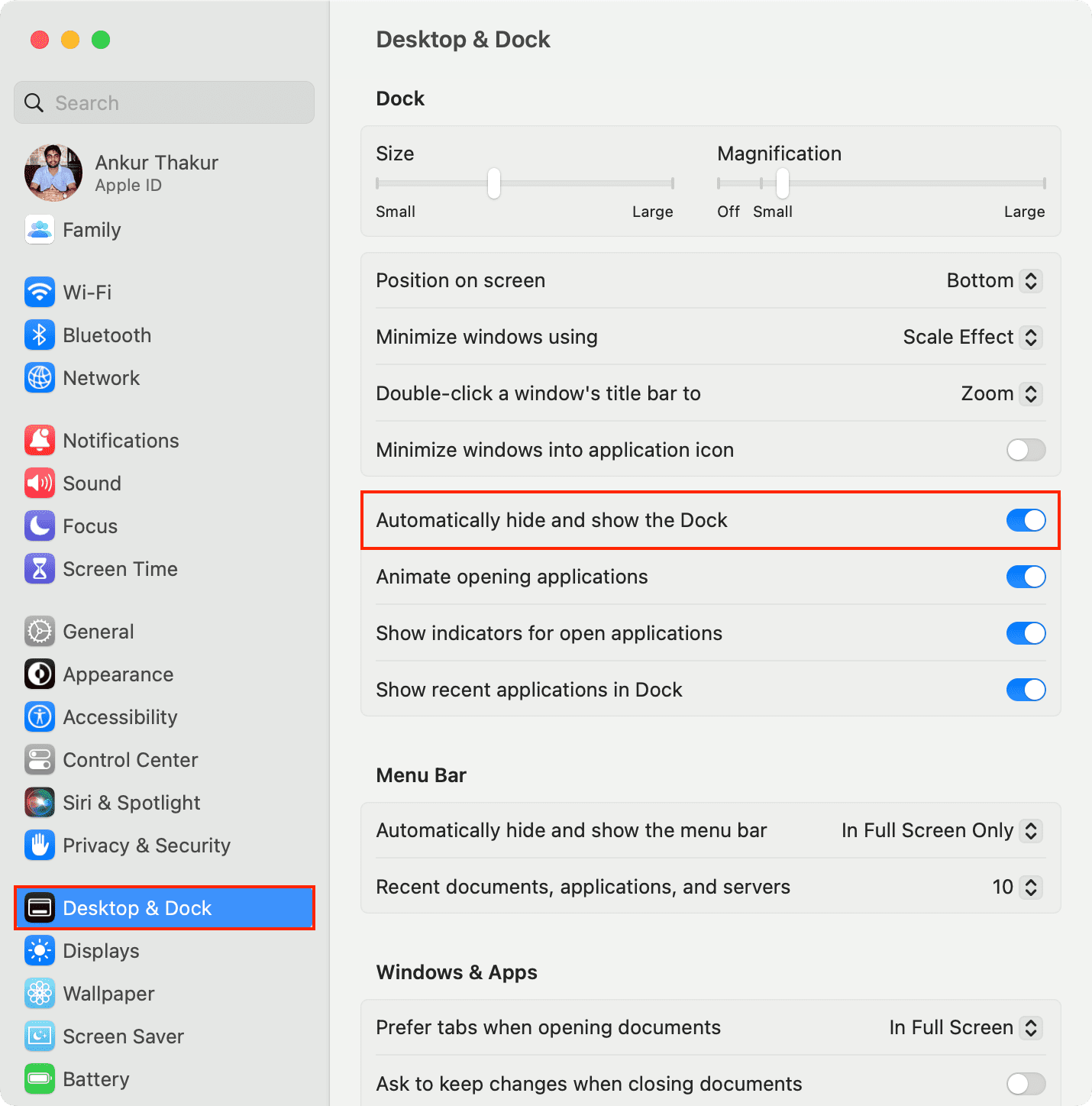 Automatically hide and show Mac's Dock in macOS Ventura or later