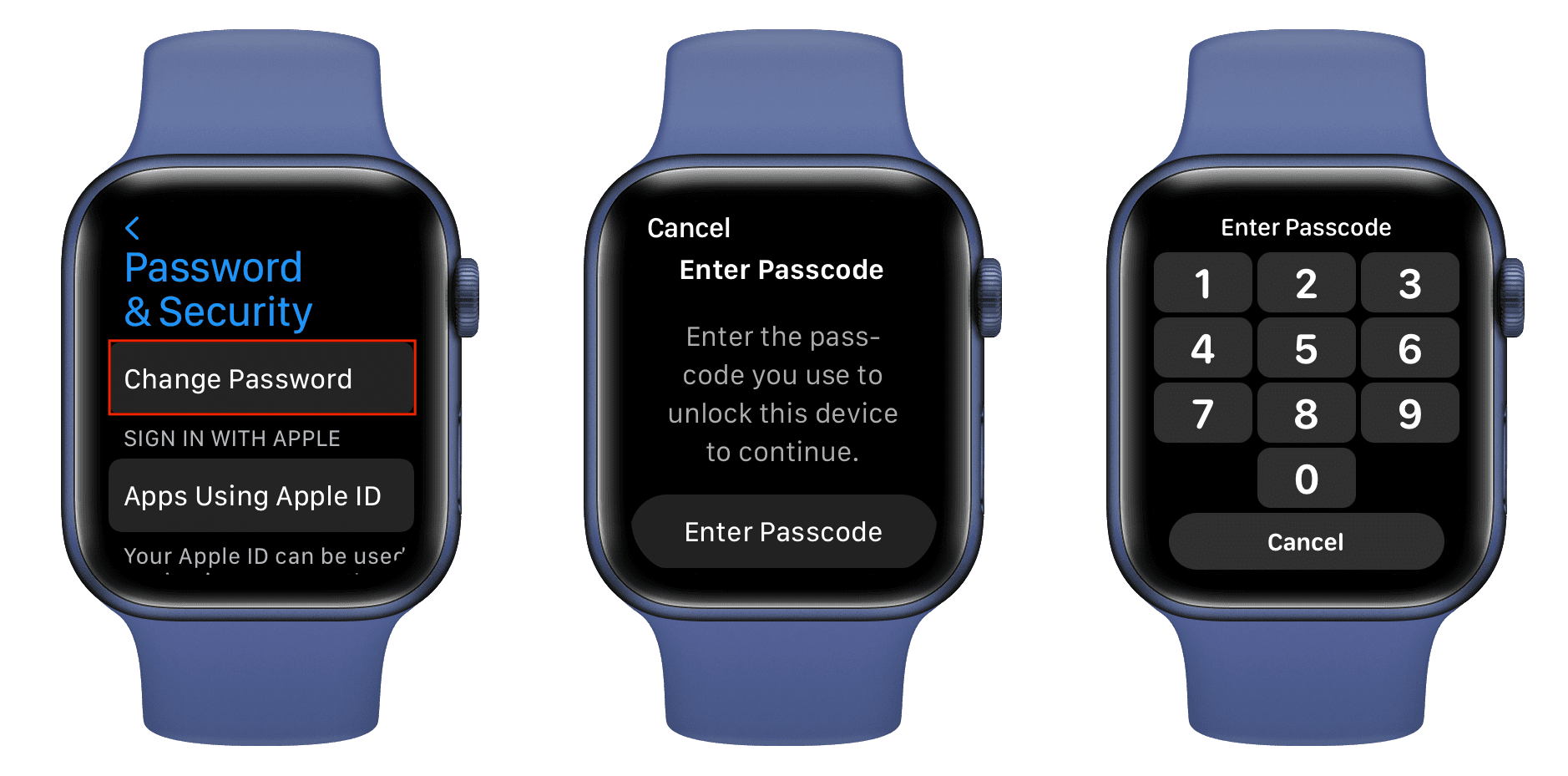 Change Apple ID Password option on Apple Watch