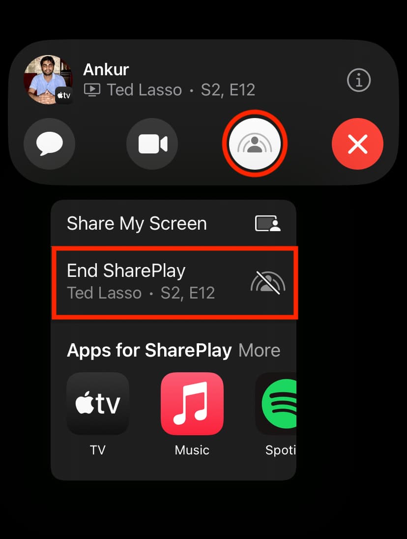 End SharePlay during FaceTime