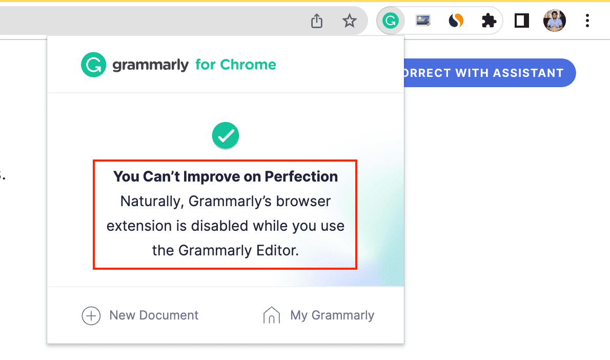 Grammarly You Can't Improve on Perfection message