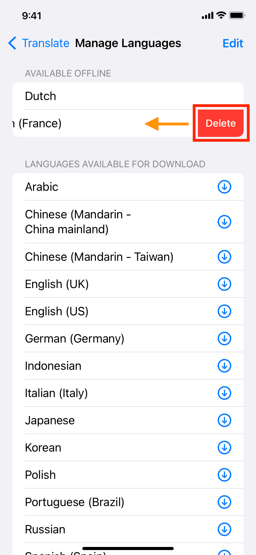 Delete downloaded Translate language on iPhone