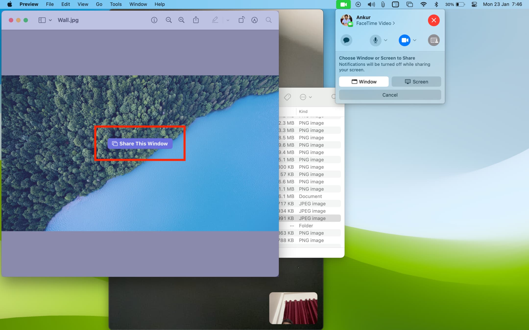 Share This Window via FaceTime on Mac