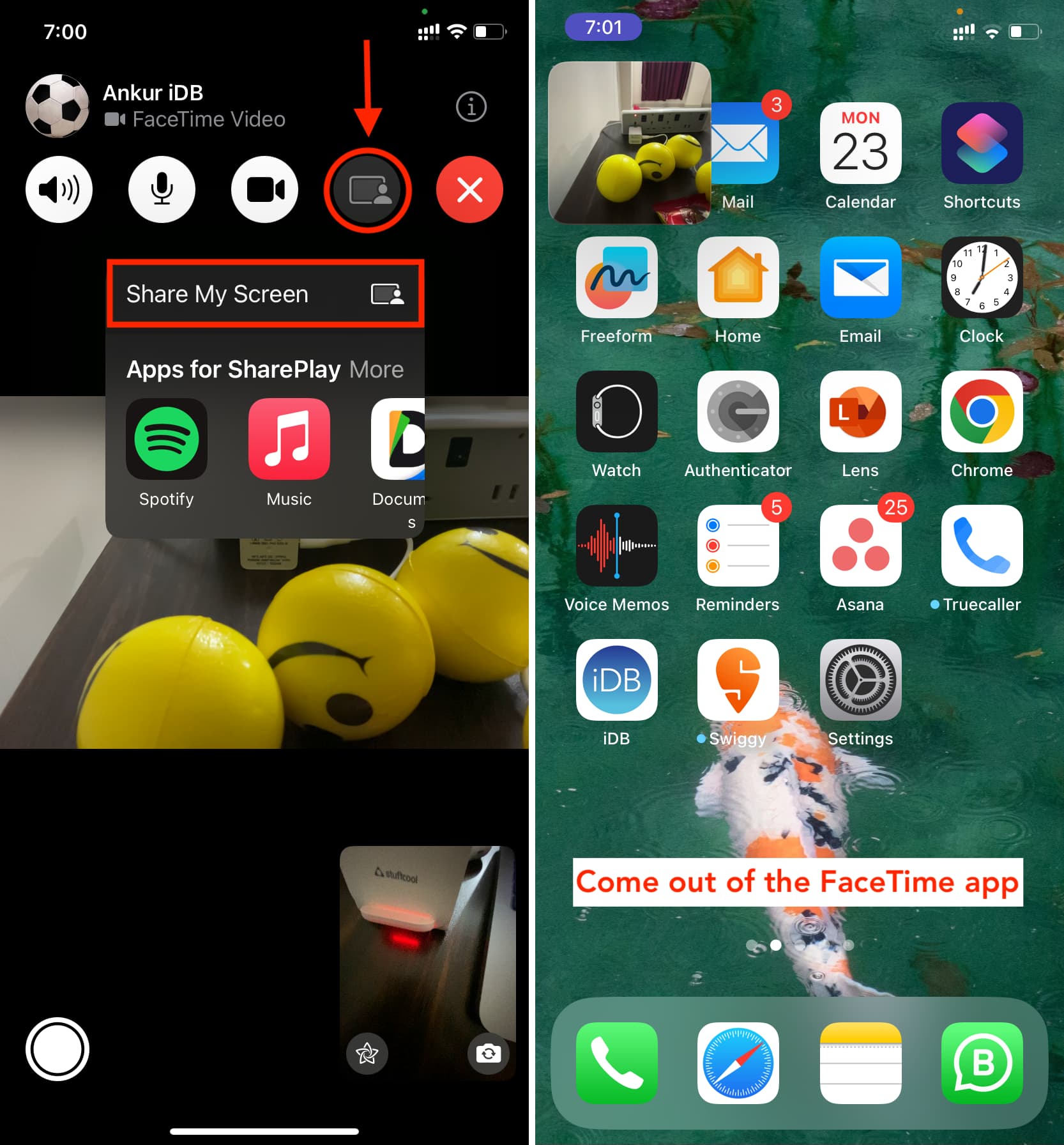Highlighted screenshot showing how to share your iPhone screen via FaceTime