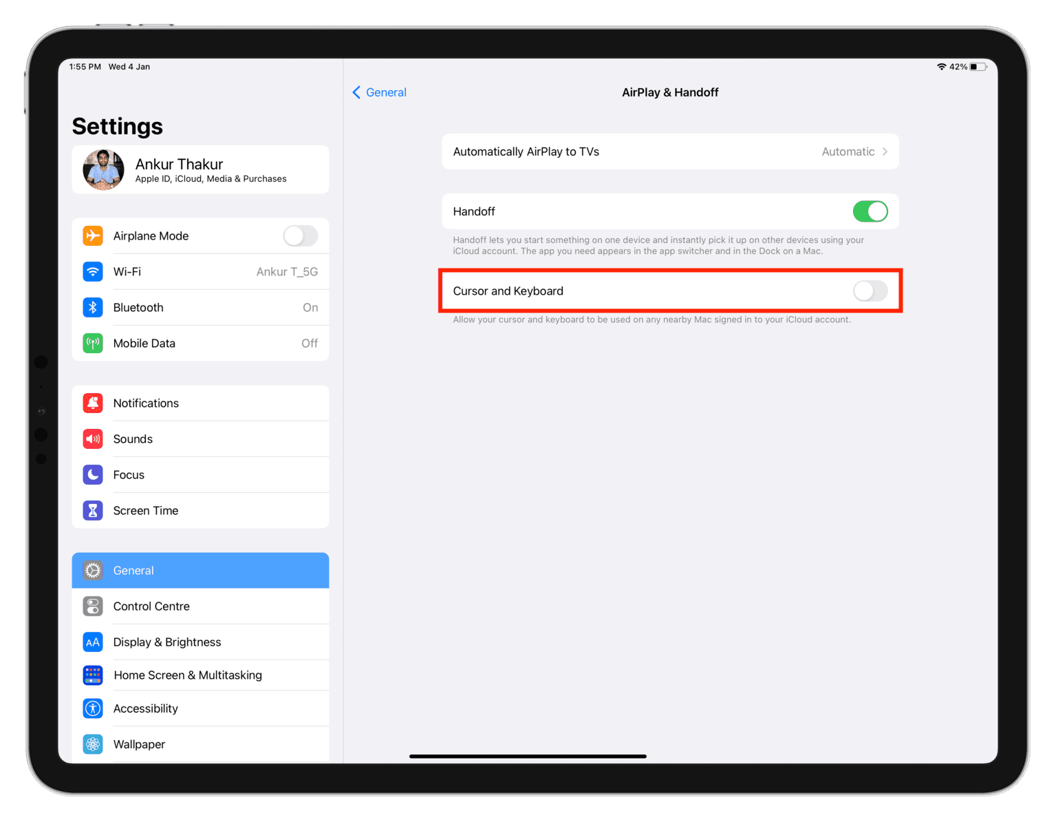 Switch off Cursor and Keyboard in iPad settings