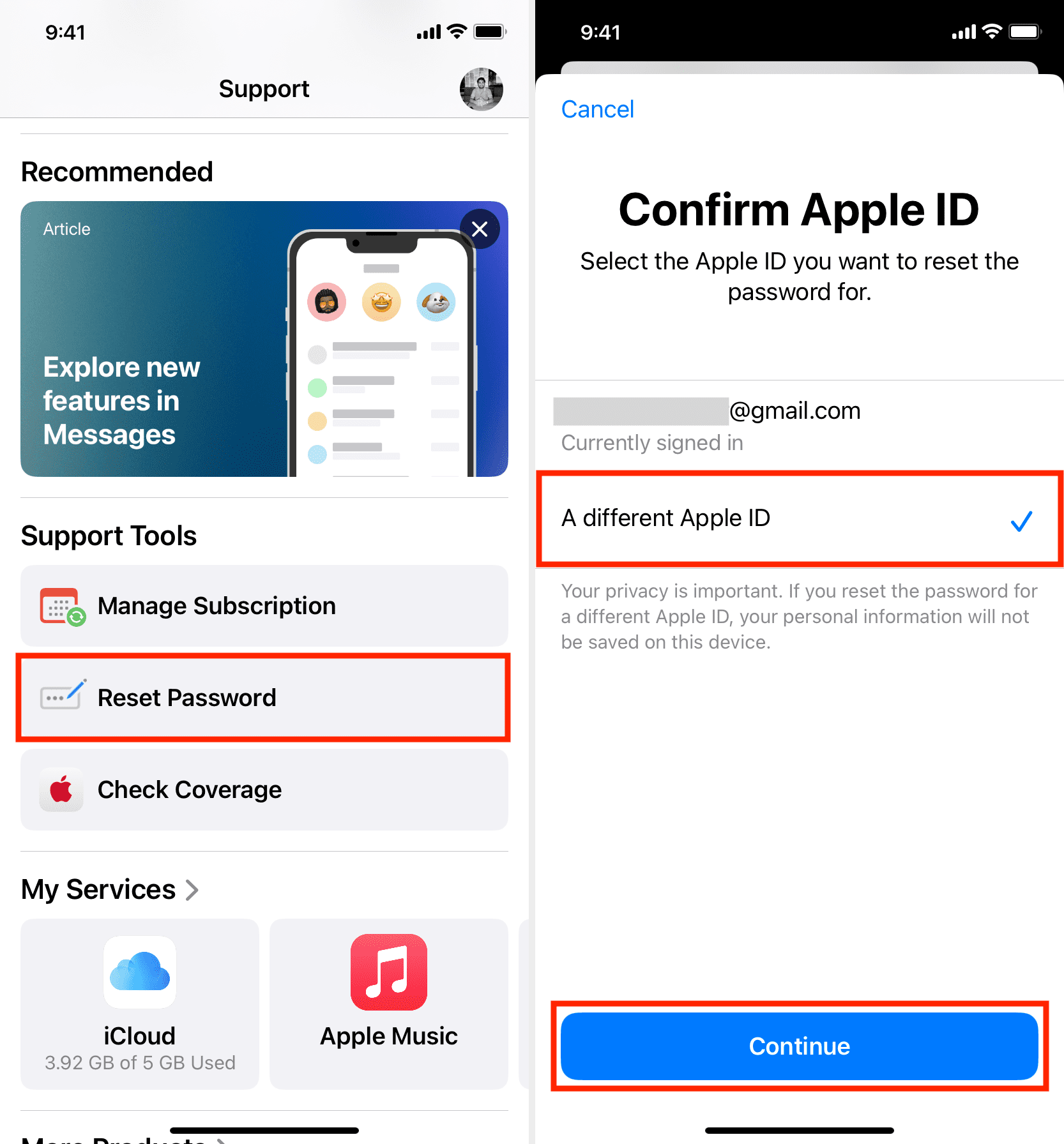 Tap Reset Password and choose A different Apple ID in Apple Support app