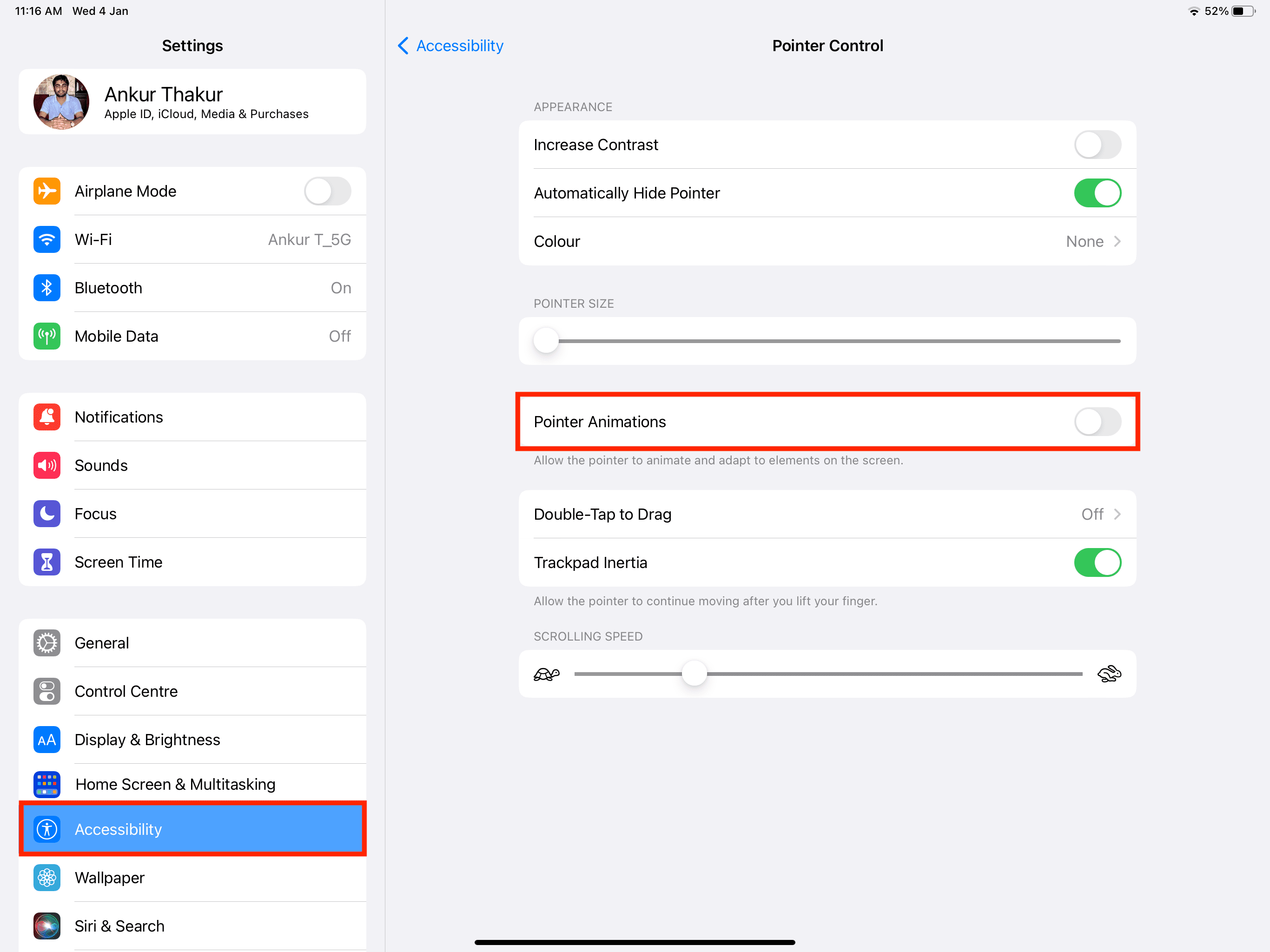 How to disable iPad pointer animations