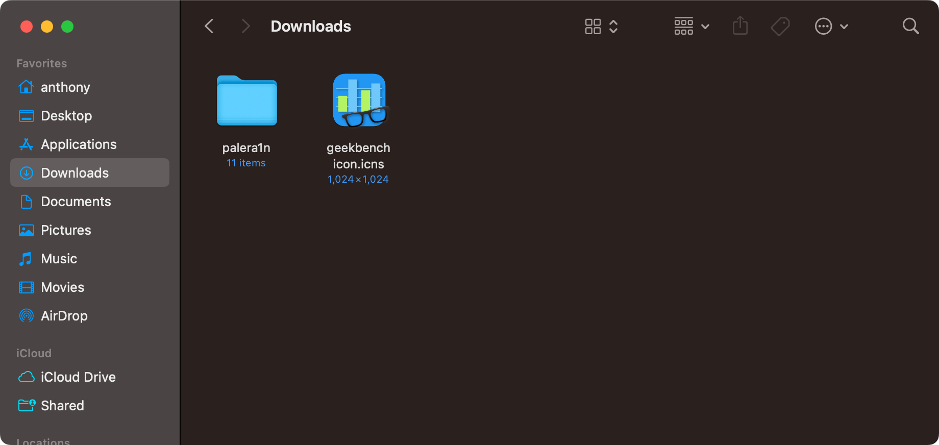 Geekbench icon downloaded.