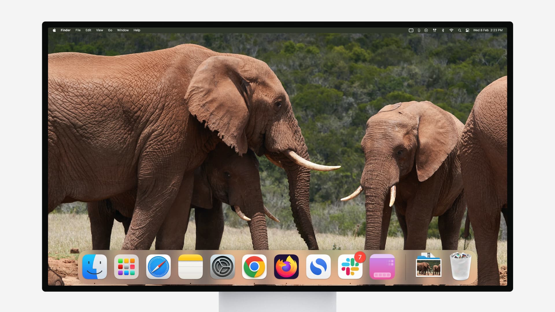 Mac showing a huge Dock at the bottom of the screen with elephants wallpaper on the desktop