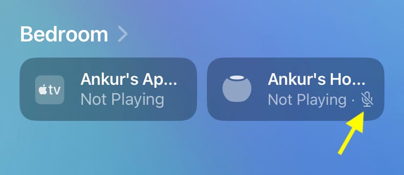 Microphone mute icon for HomePod in Home app