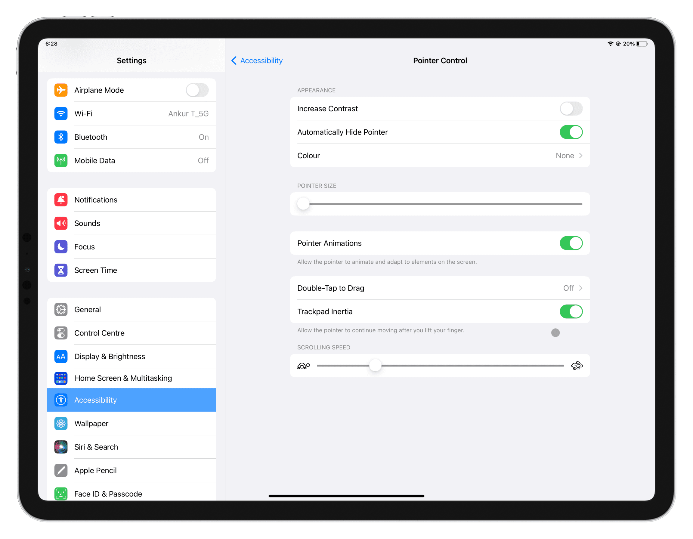 Pointer Control settings to customize mouse and trackpad on iPad