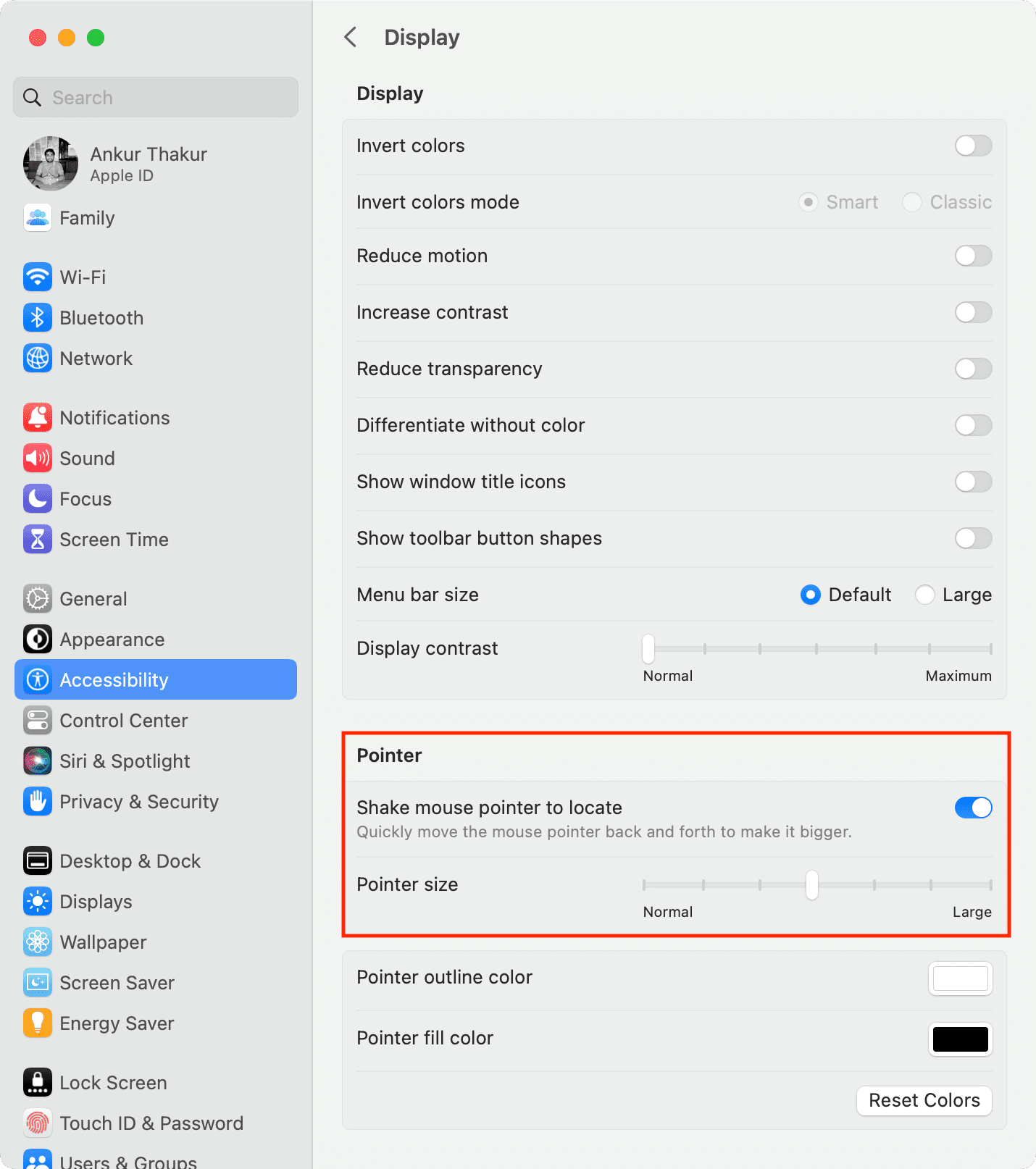 Pointer size settings on Mac