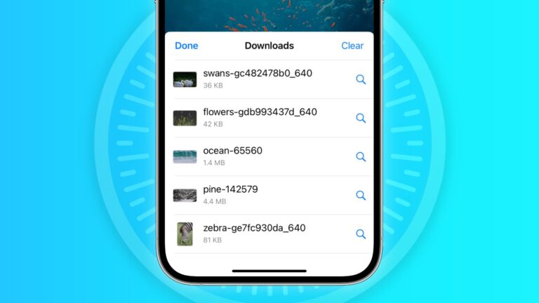 List of Safari downloads on iPhone