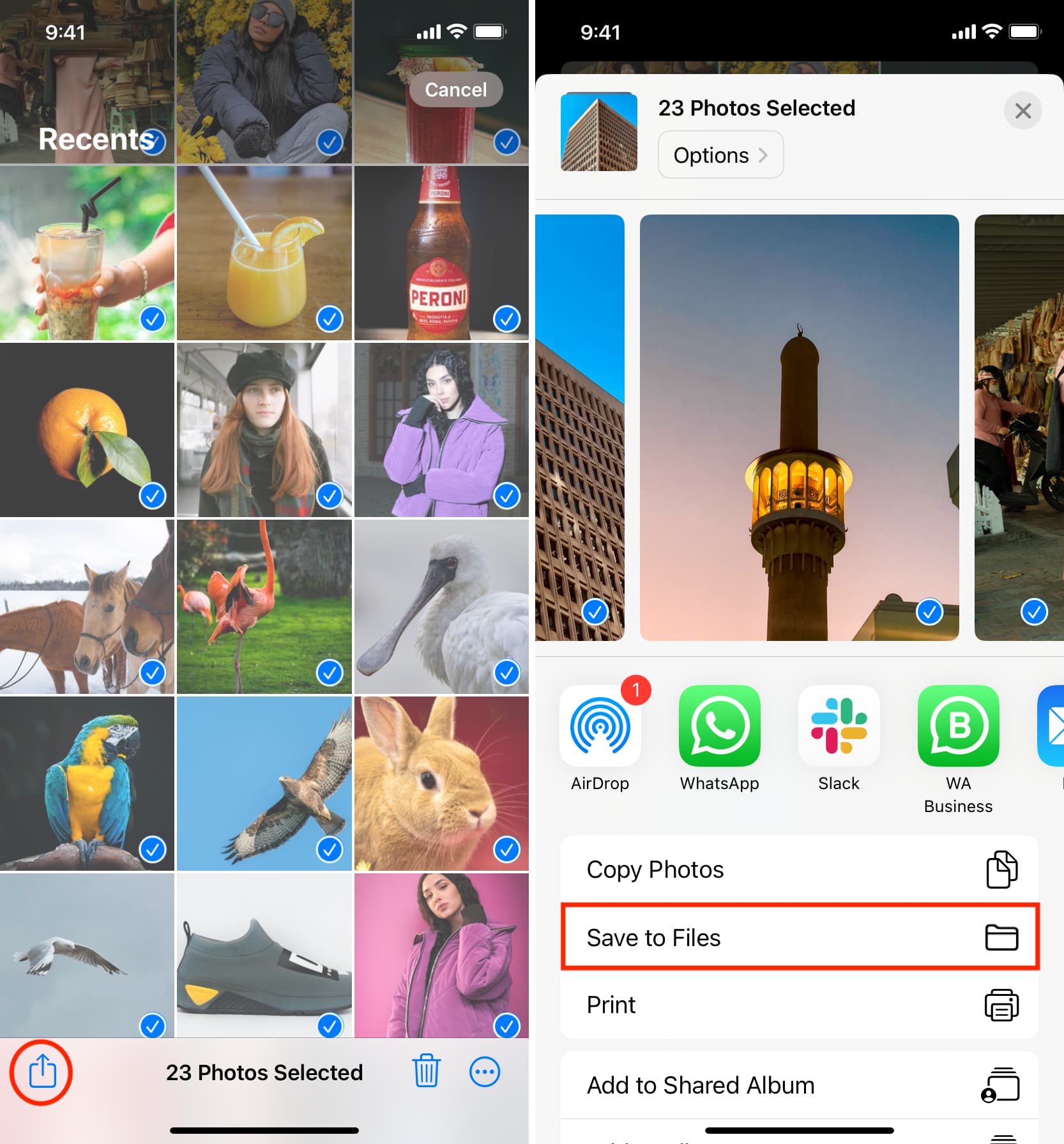 Select images in Photos and save them to Files app on iPhone