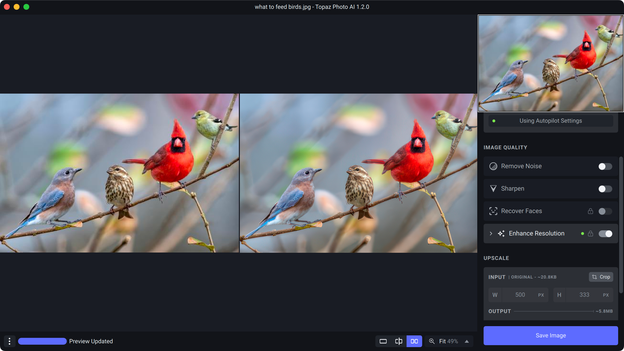 Topaz Photo AI enhancing a bird image with one click.
