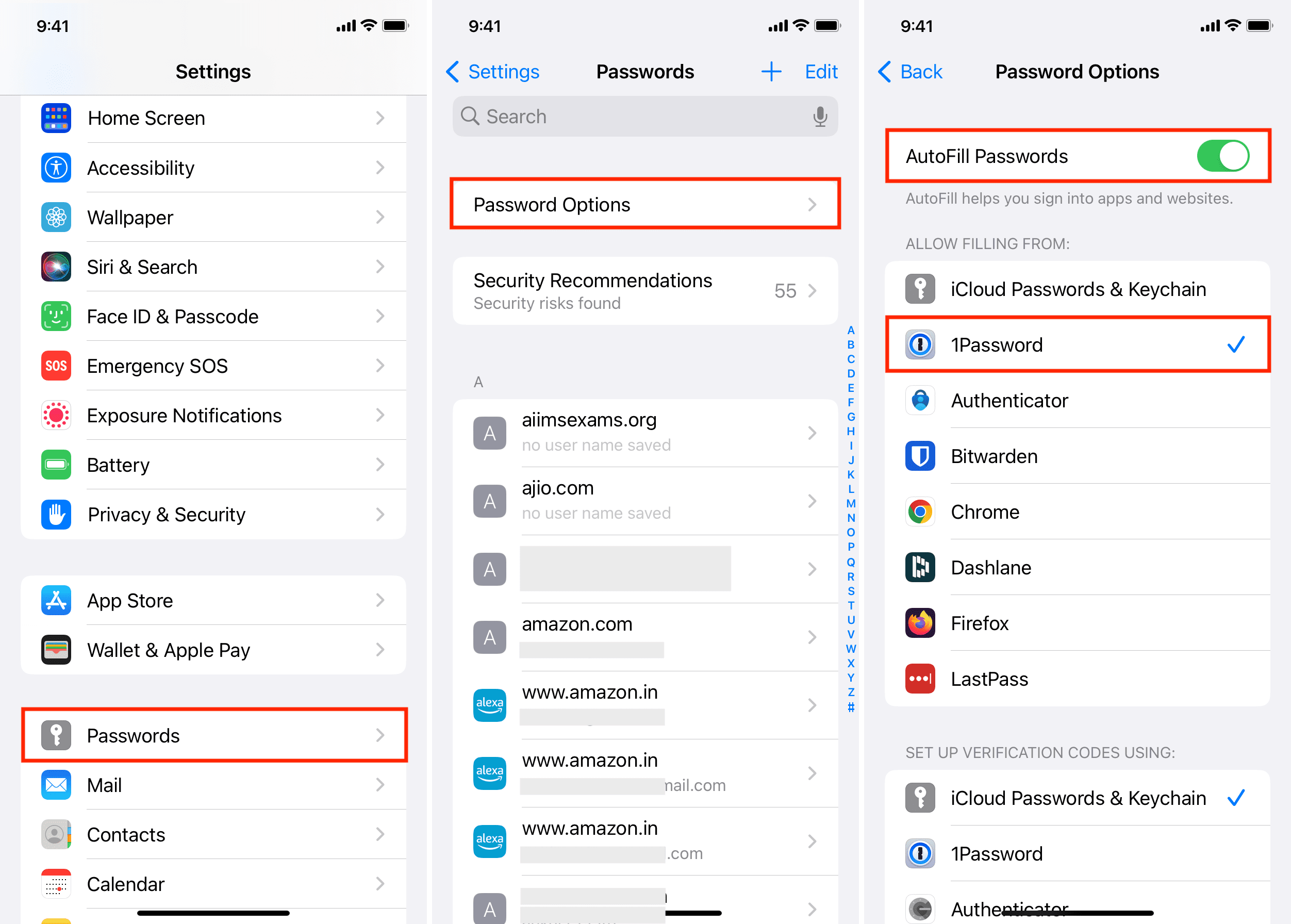 AutoFill Passwords from third-party apps on iPhone