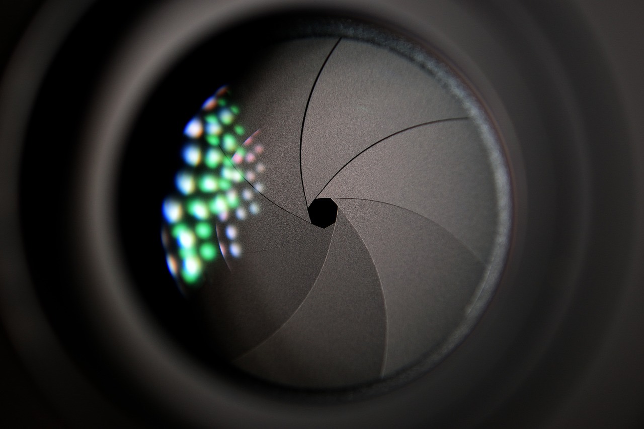 A aperture blades of a removable camera lens.