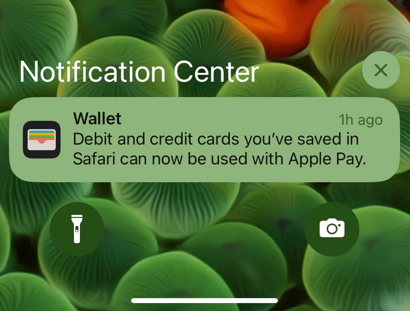 iPhone Wallet app notification saying, "Debit and credit cards you've saved in Safari can now be used with Apple Pay"