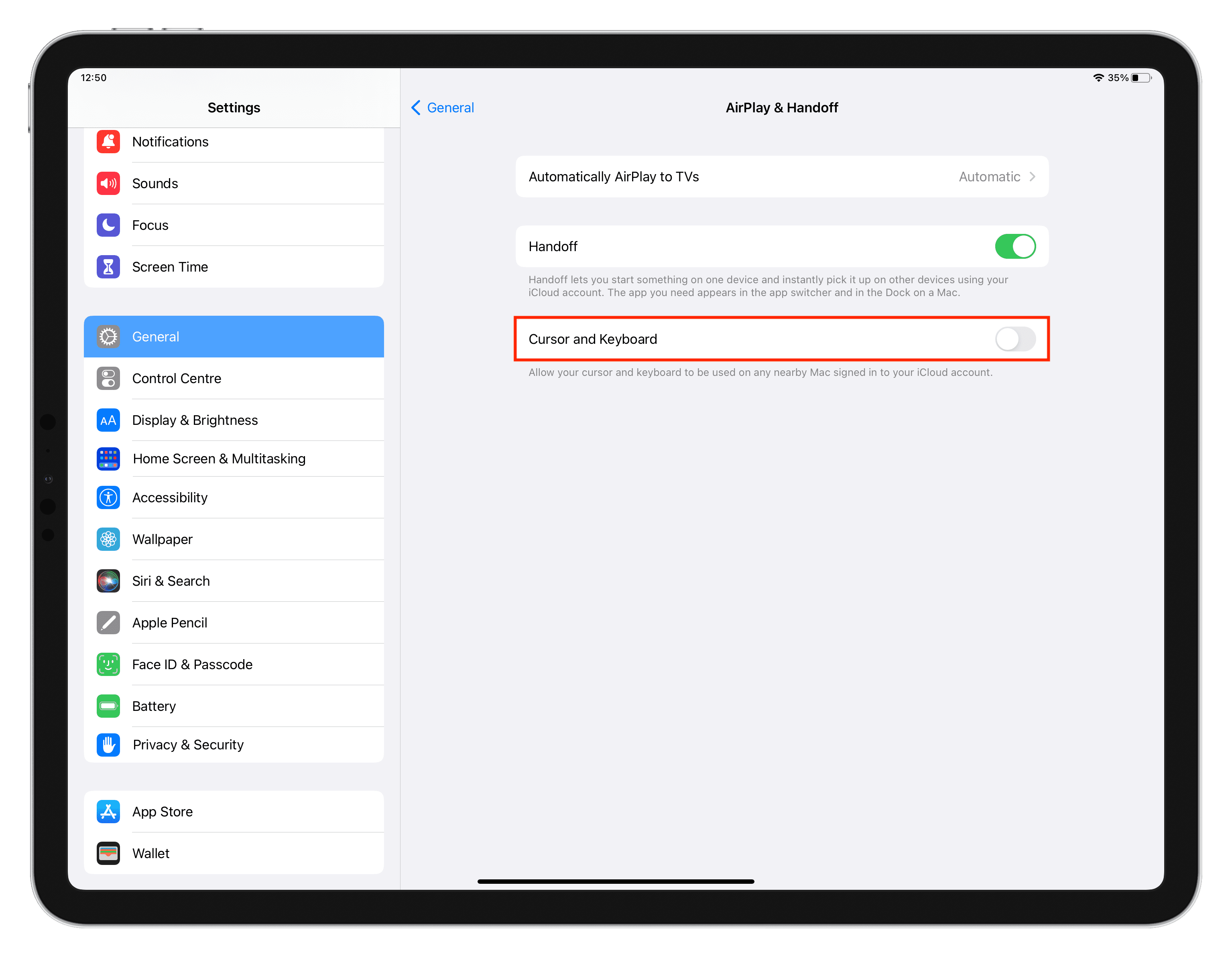 Turn off Cursor and Keyboard in iPad settings