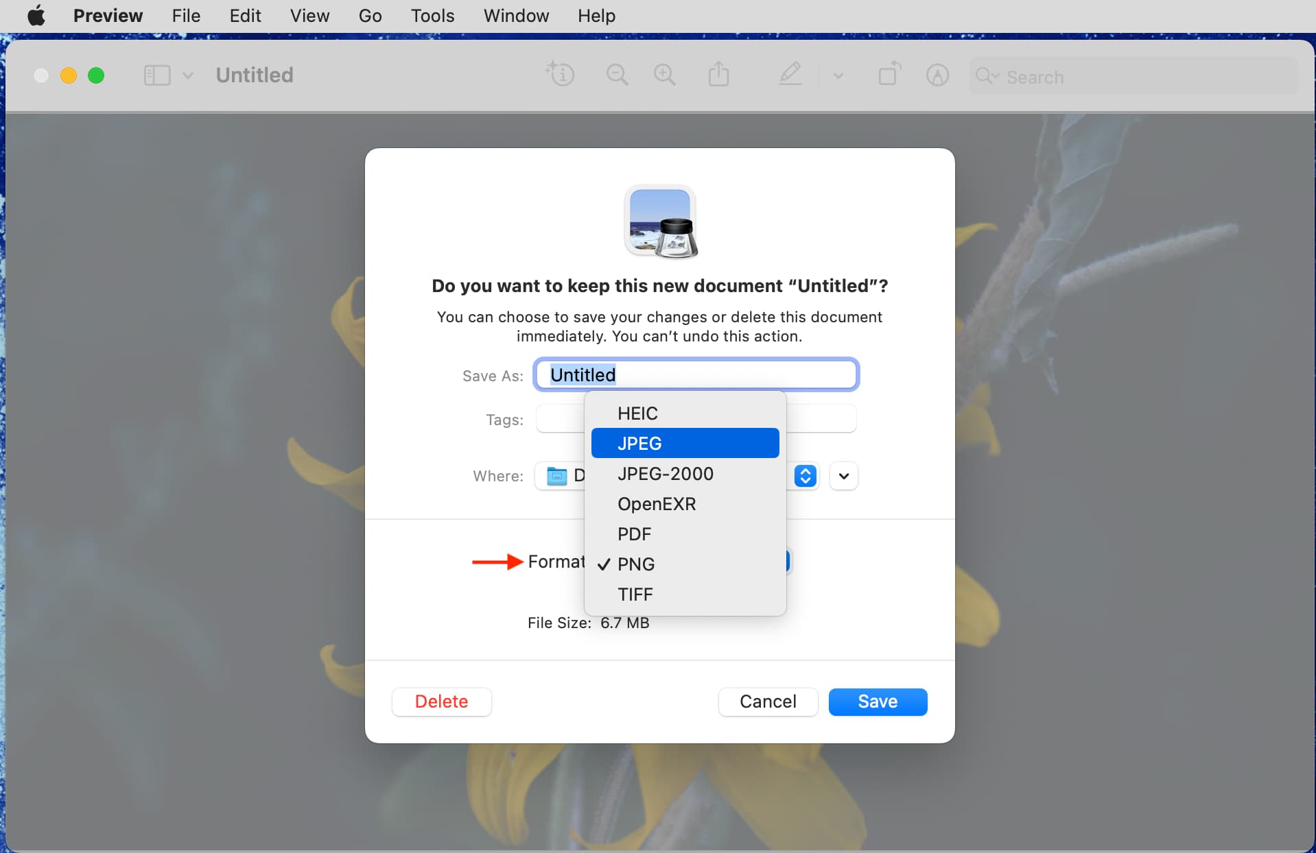 Choose format to save your Mac screenshot in