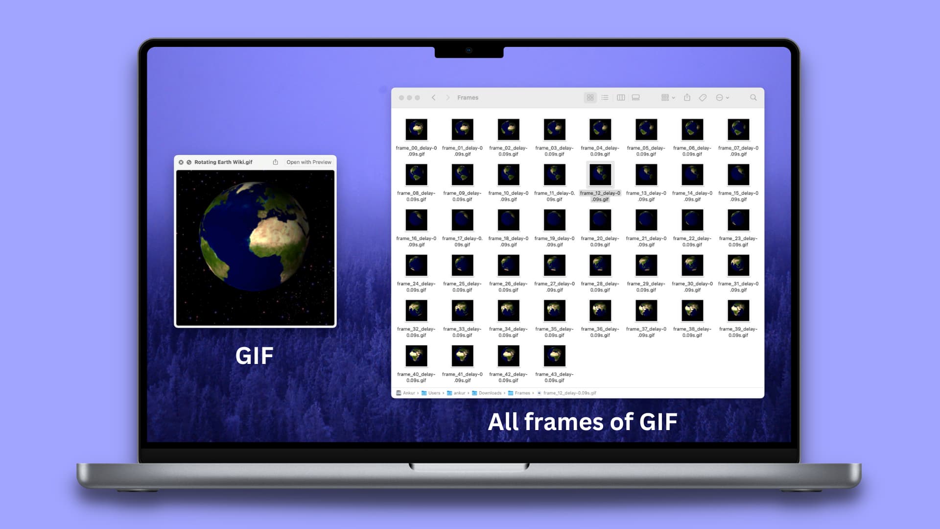 Saving individual frames of a GIF as separate images on Mac