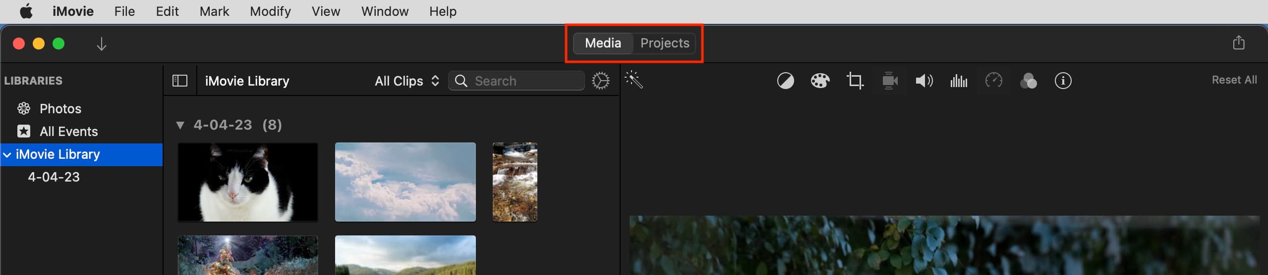 Select Media or Projects in iMovie on Mac