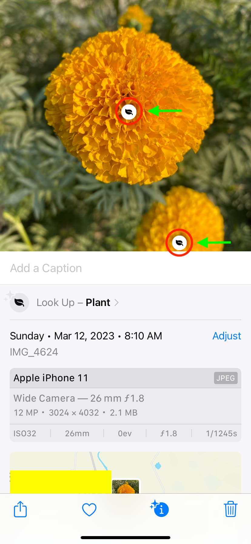Tap plant icon after tapping detected item info button on iPhone