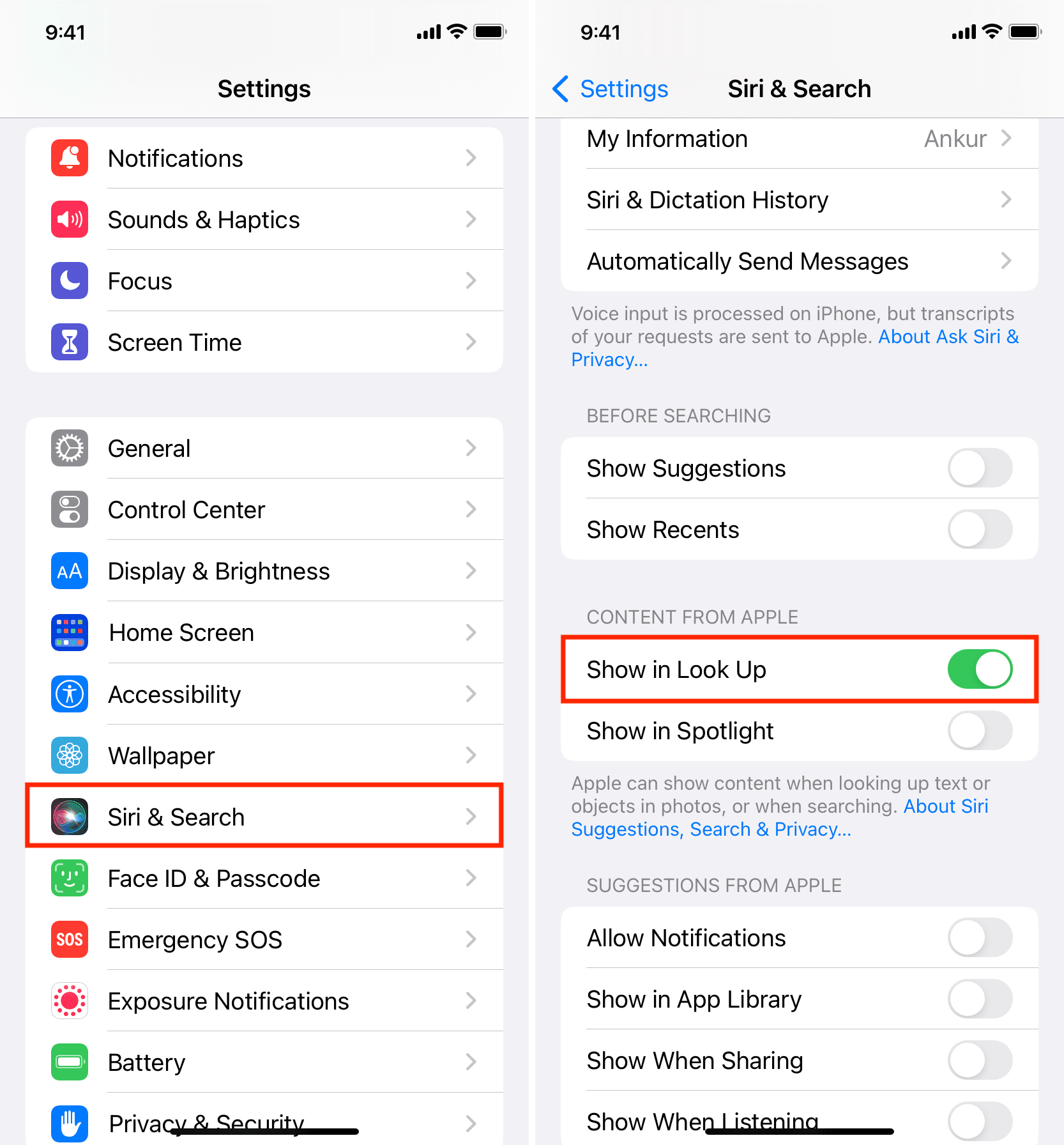 Turn on Show in Look Up in iPhone Siri and Search settings