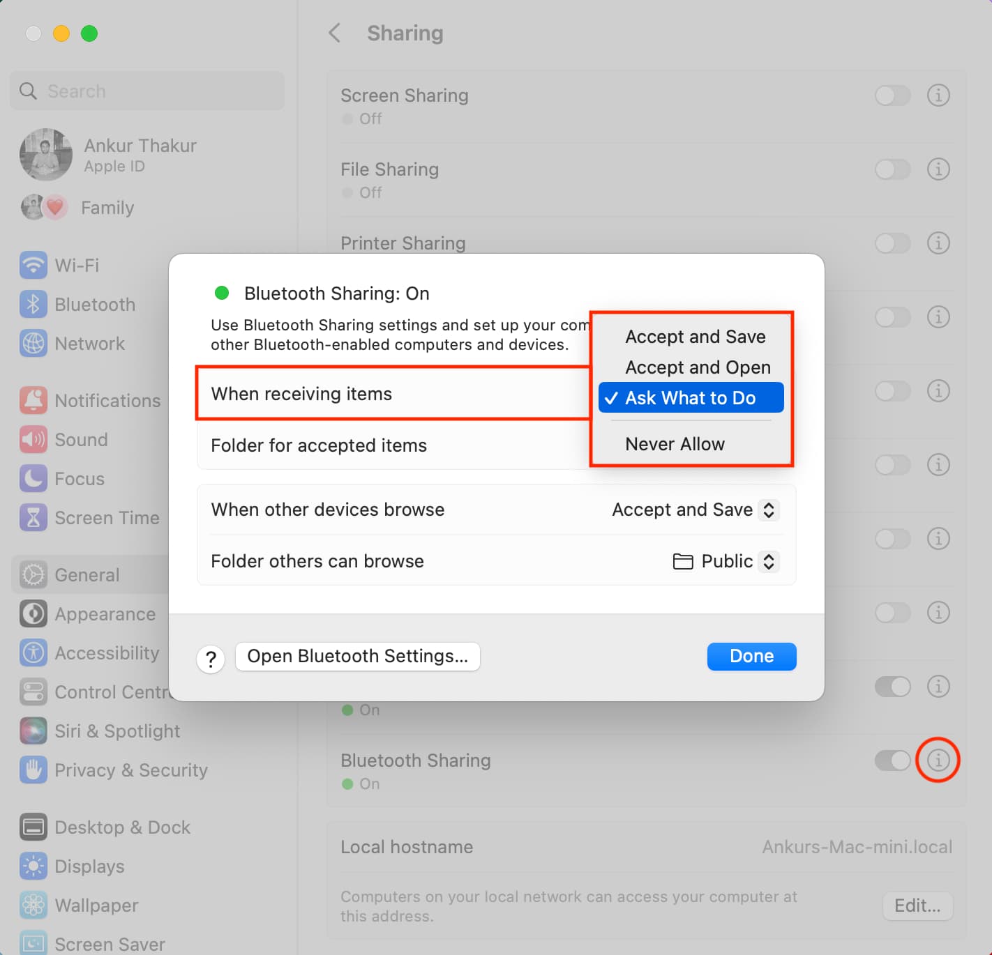 Bluetooth Sharing settings on Mac