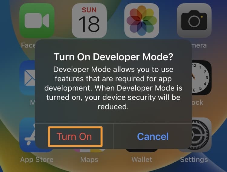 Turn on Developer Mode after reboot.