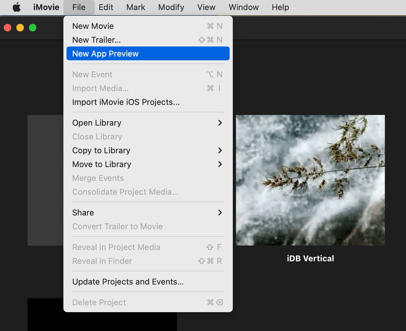 New App Preview in iMovie on Mac