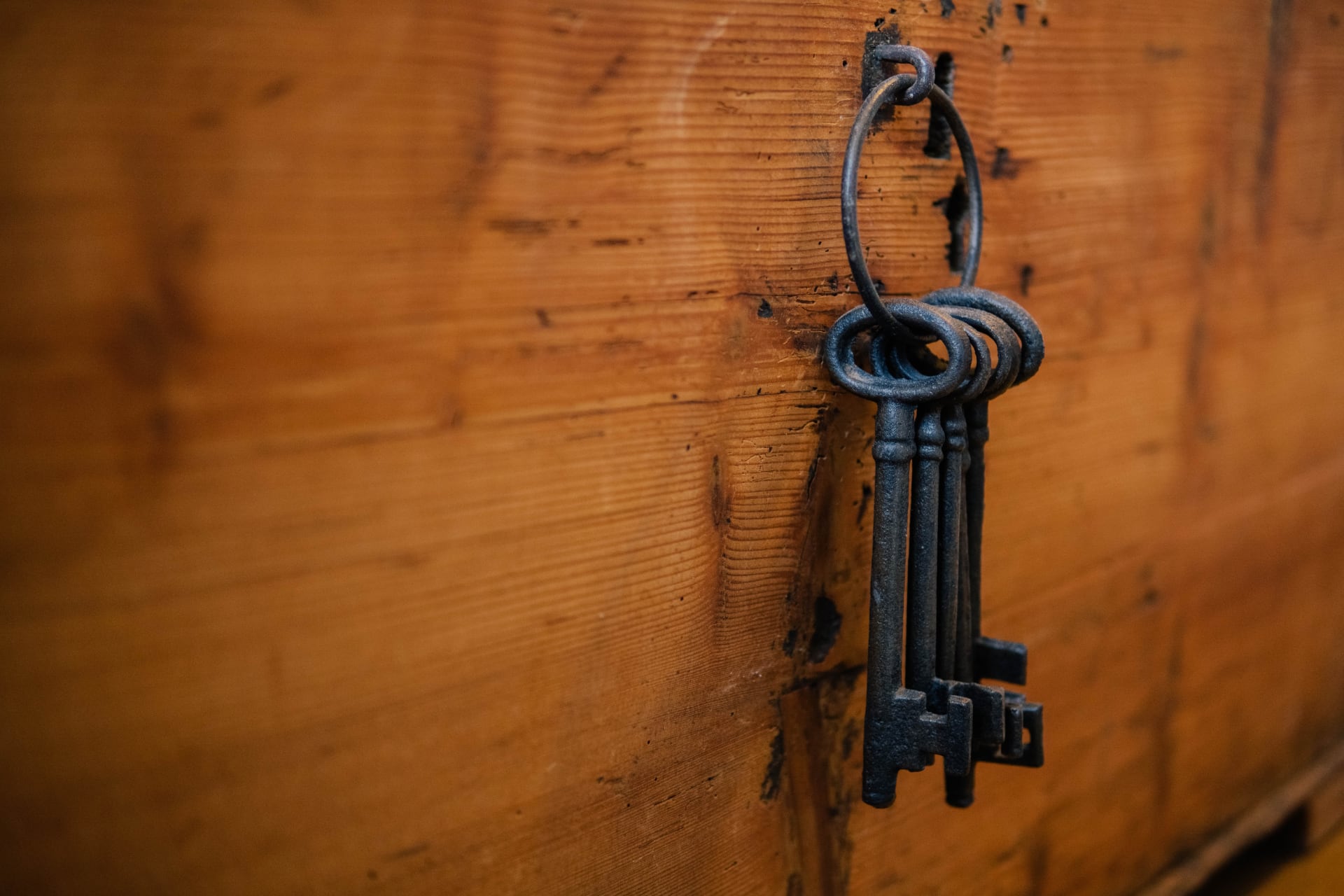 Old iron keys hung on a rustic wooden panel