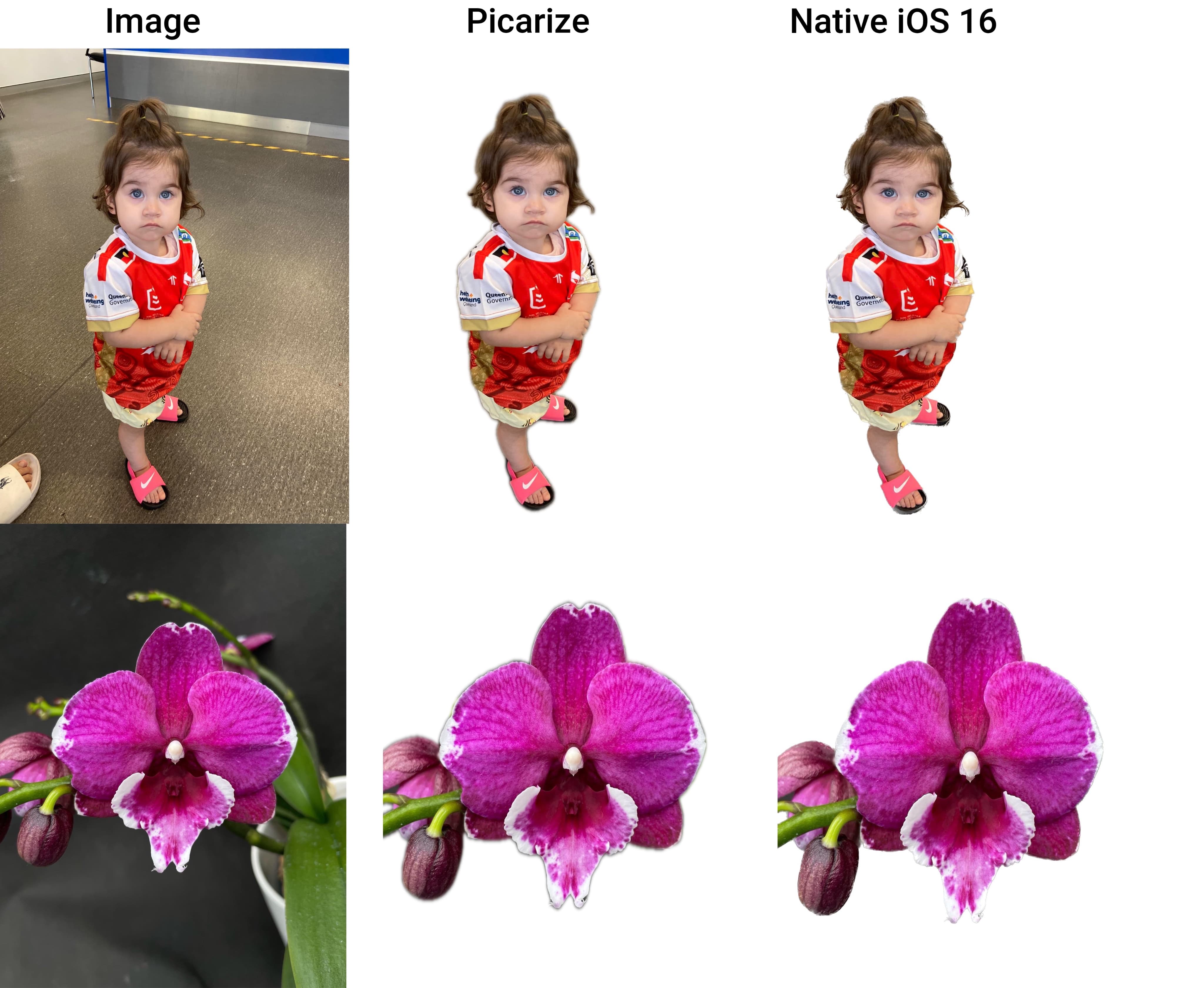 Picarize examples compared to iOS 16 native subject isolation.