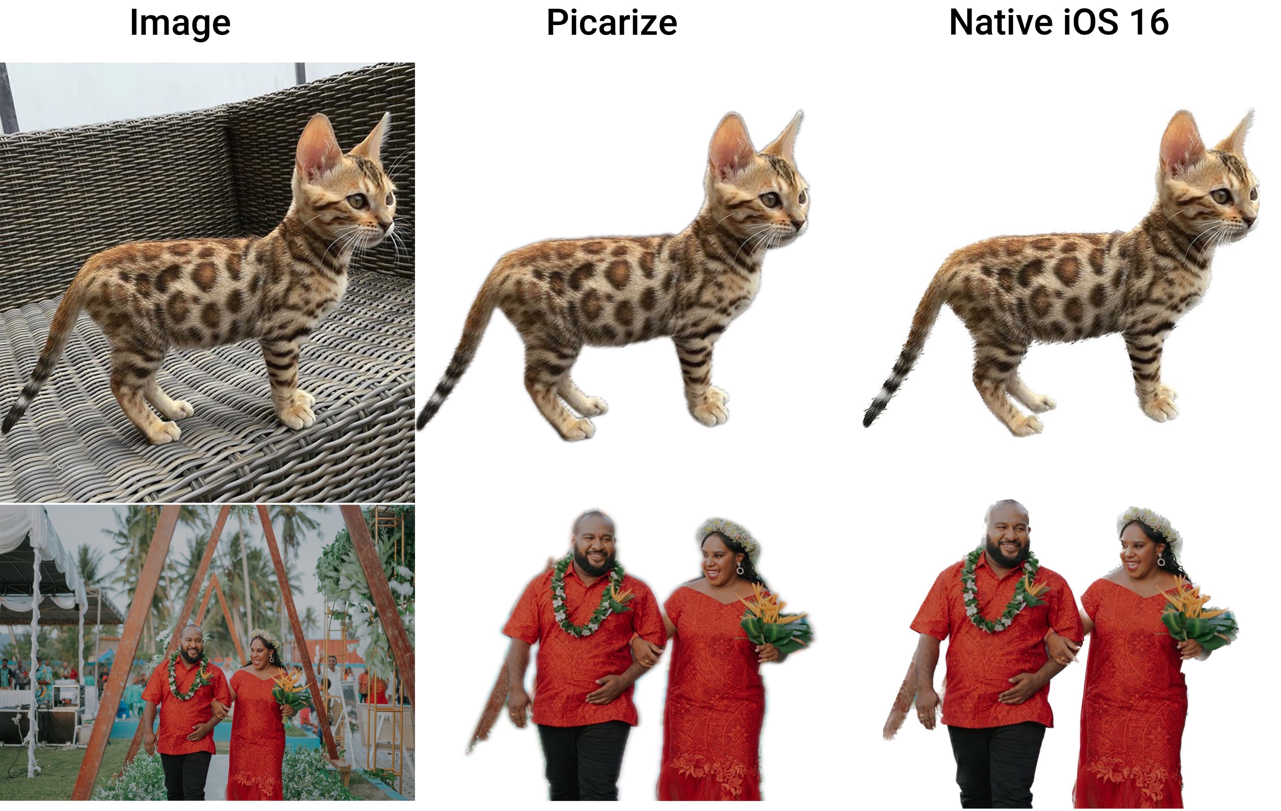 Picarize examples compared to iOS 16 native subject isolation.