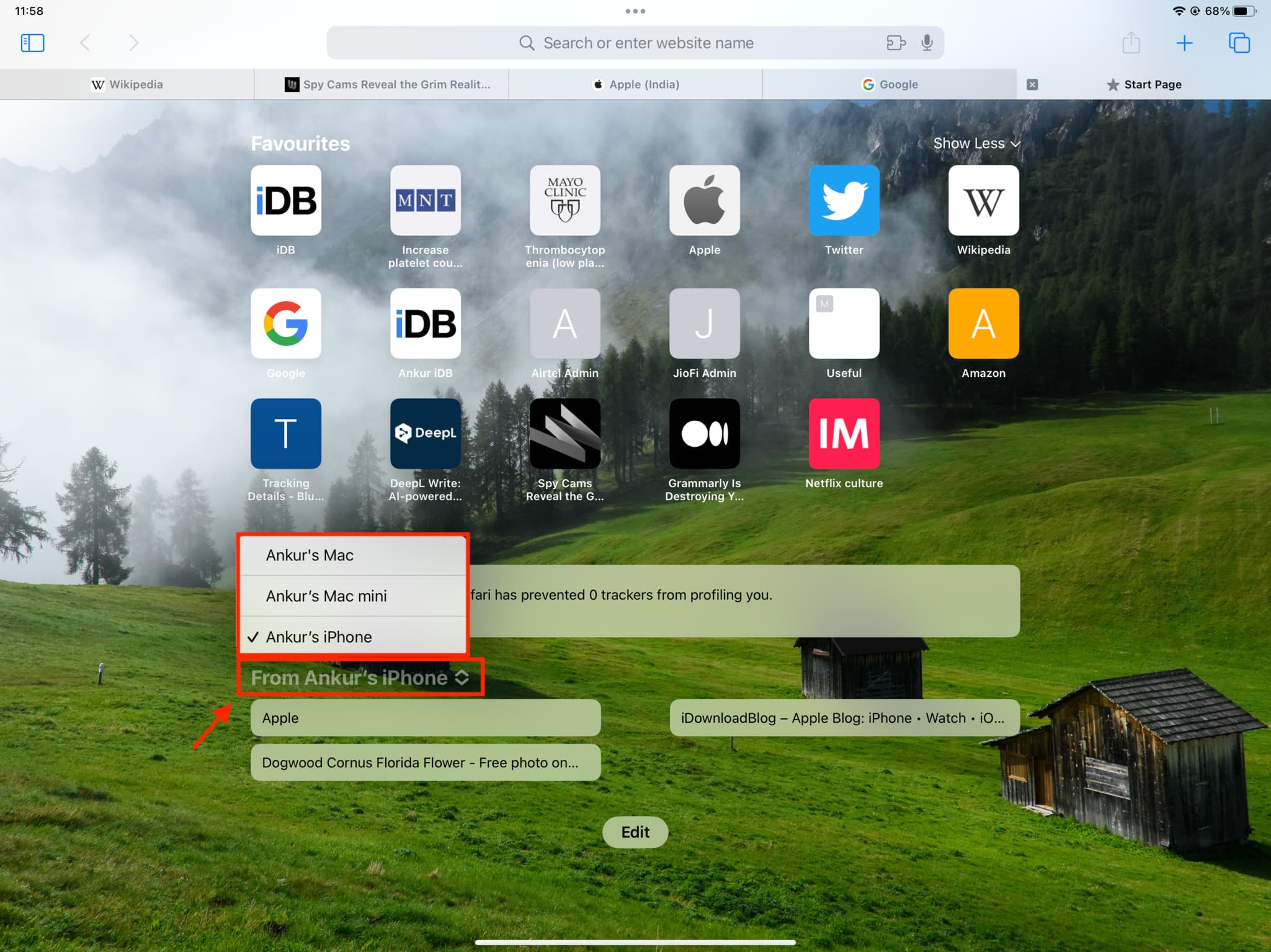 Select your Apple device to see Safari iCloud tabs from it on iPad