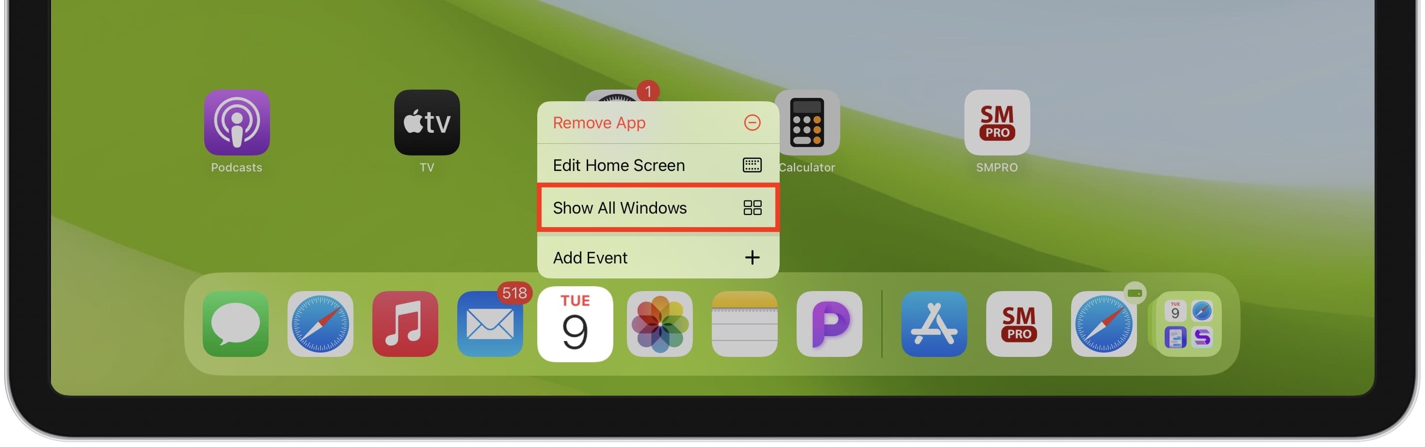 Show All Windows option after touching and holding an app icon on iPad