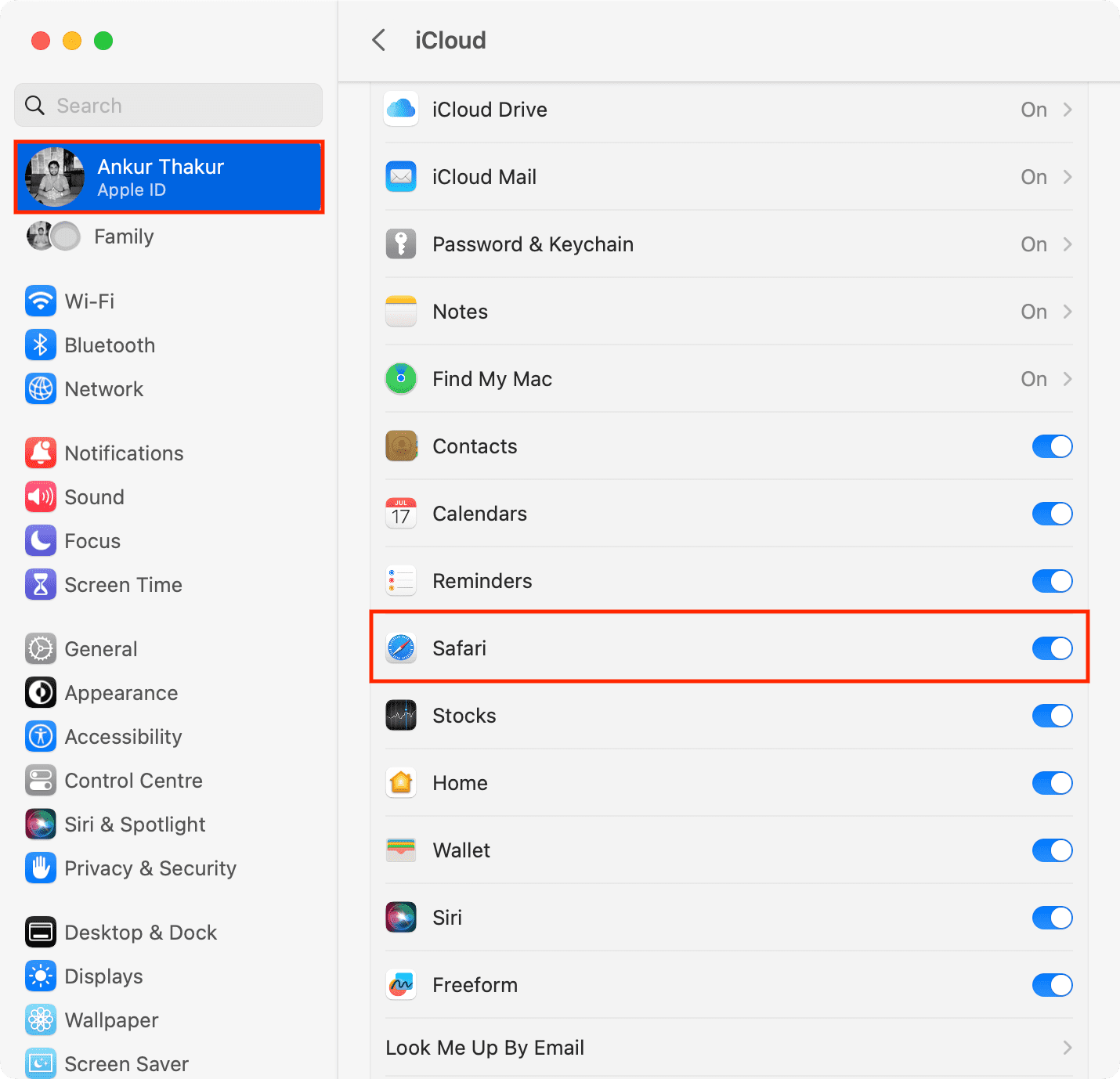 Turn on Safari for iCloud on Mac