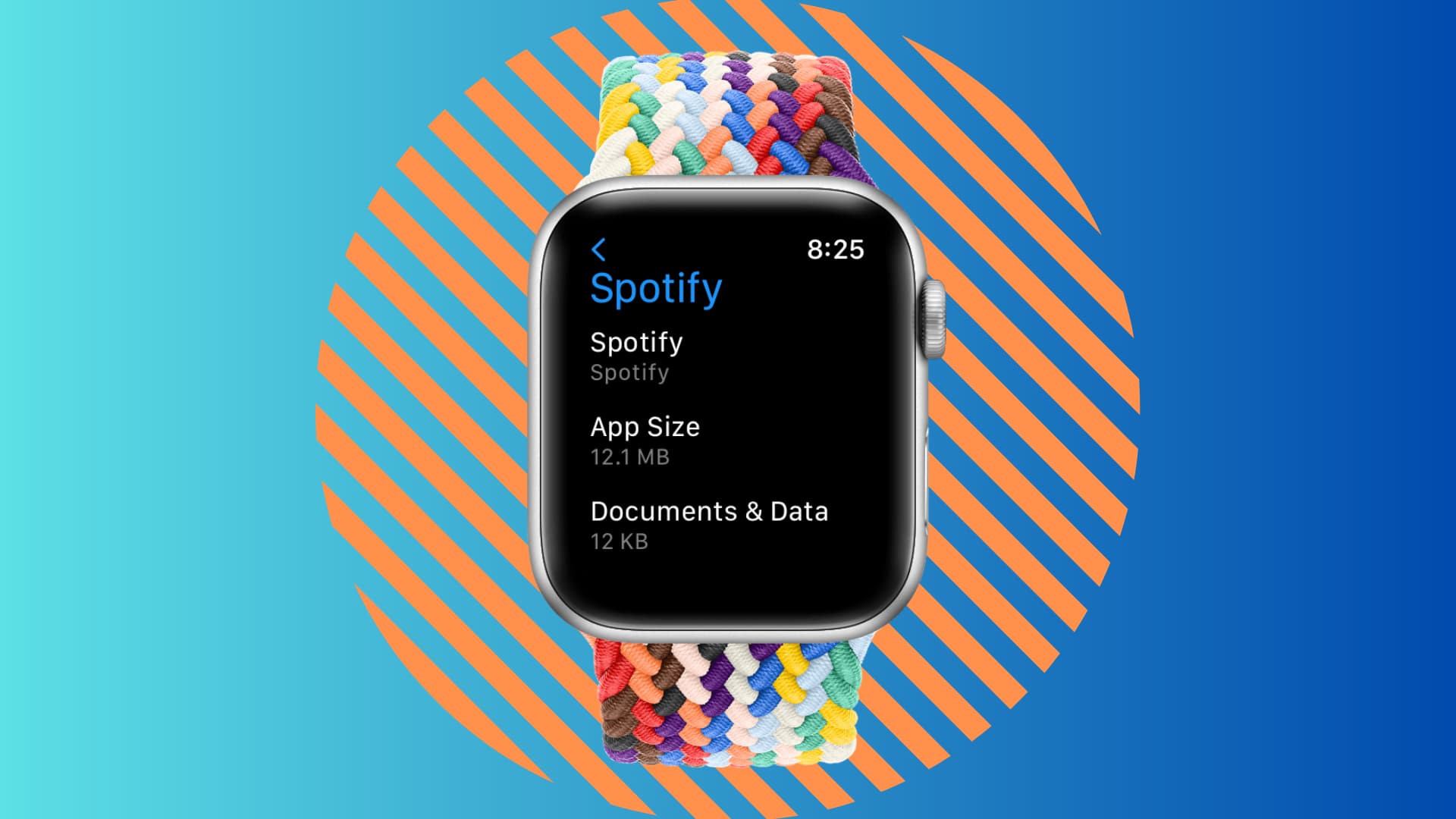 Spotify app size in Apple Watch storage settings